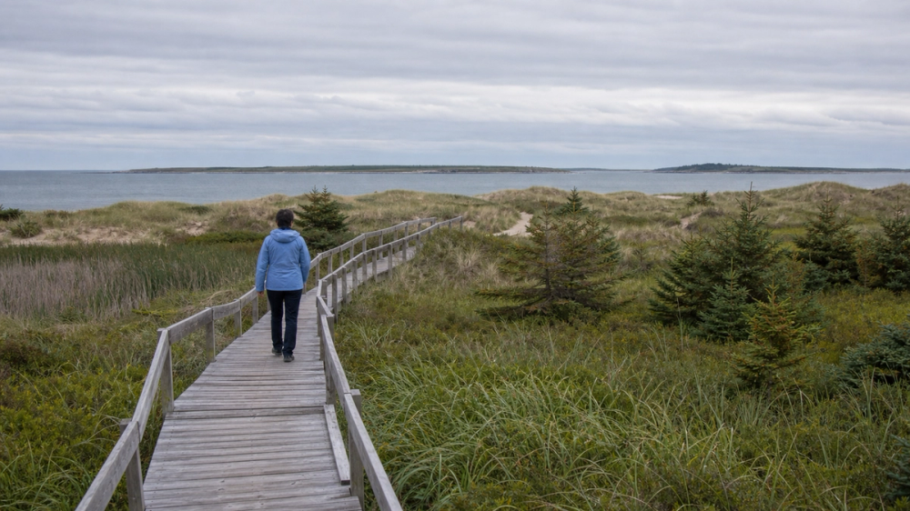 Drift between dunes and bogs on the Acadian Peninsula, Canada