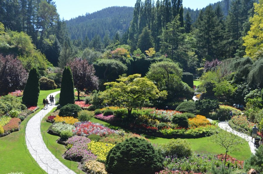Is Butchart Gardens Worth It? Inside Victoria's World-Famous Display Gardens