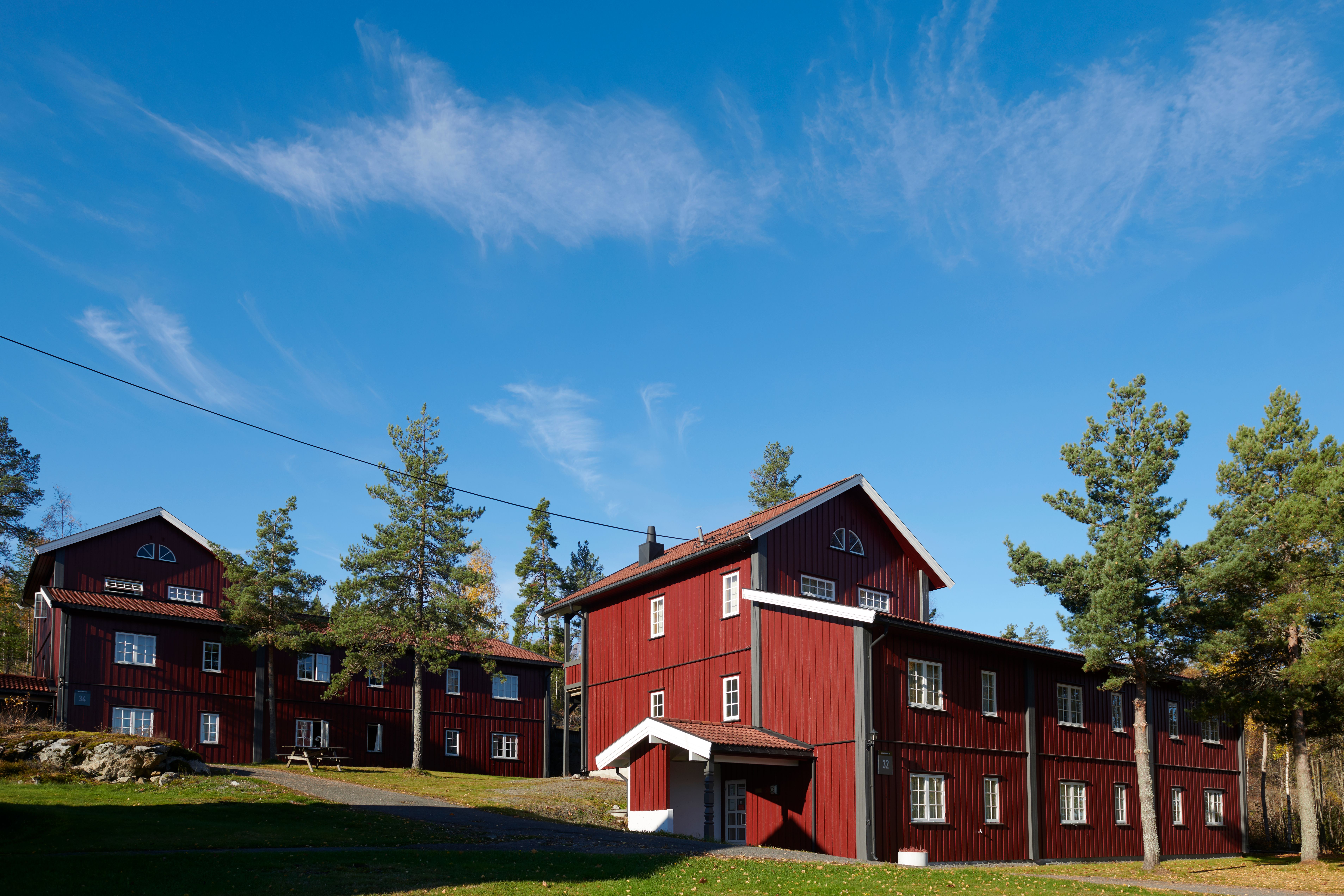 Vedlikehold av  plen og grøntanlegg