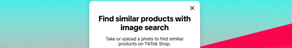 TikTok Shop takes (snap)shots at Google