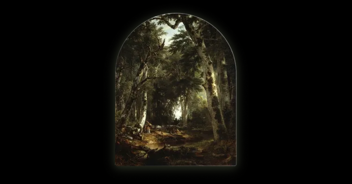 What are dark forests of the internet (and why are people retreating to them)?