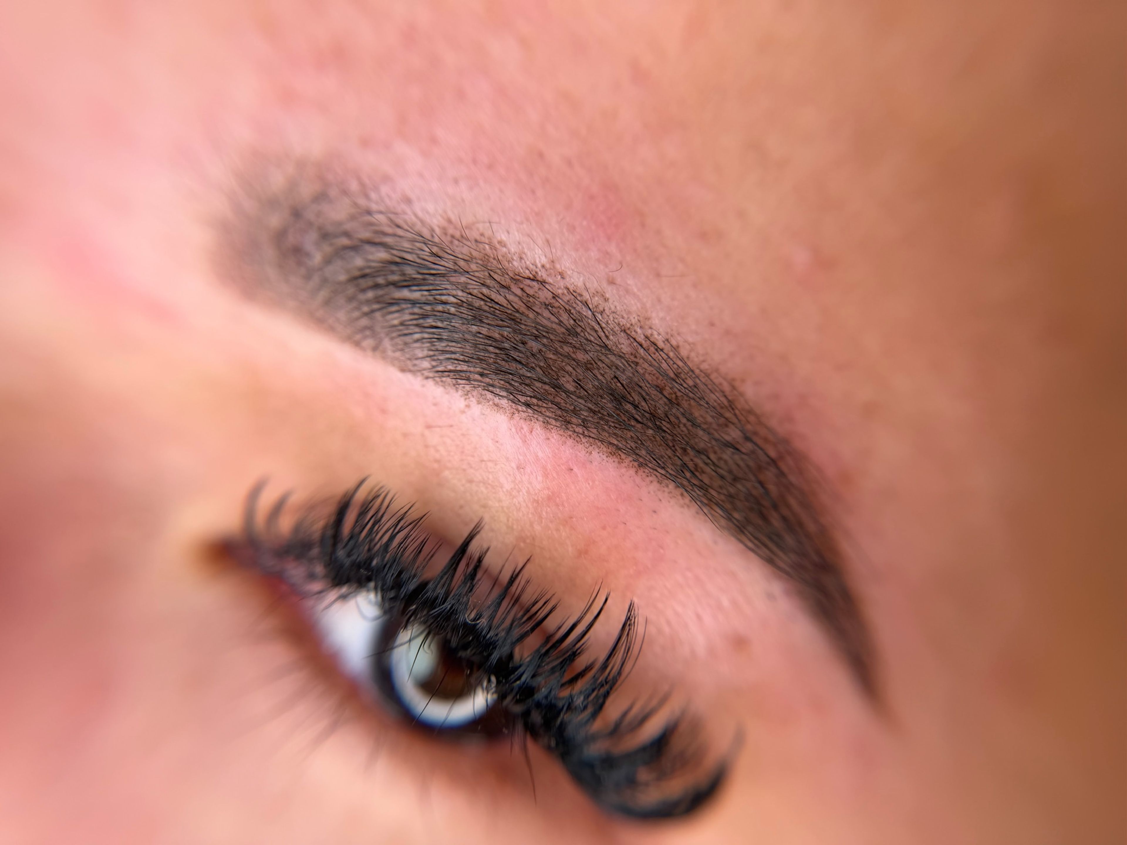Macro close-up of healed ombre powder brow showing pixelated machine shading texture.