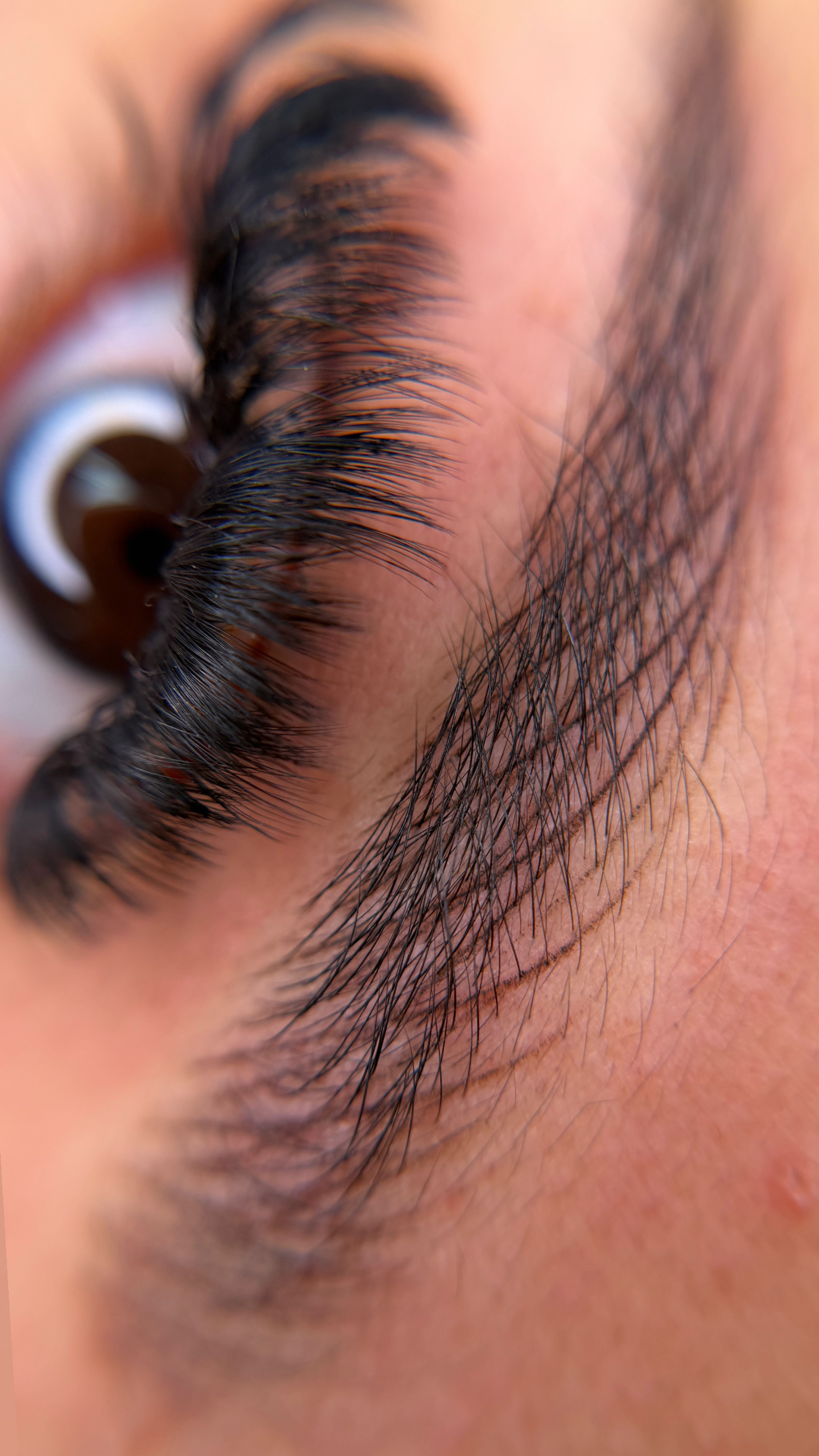 Healed nano brows close-up picture