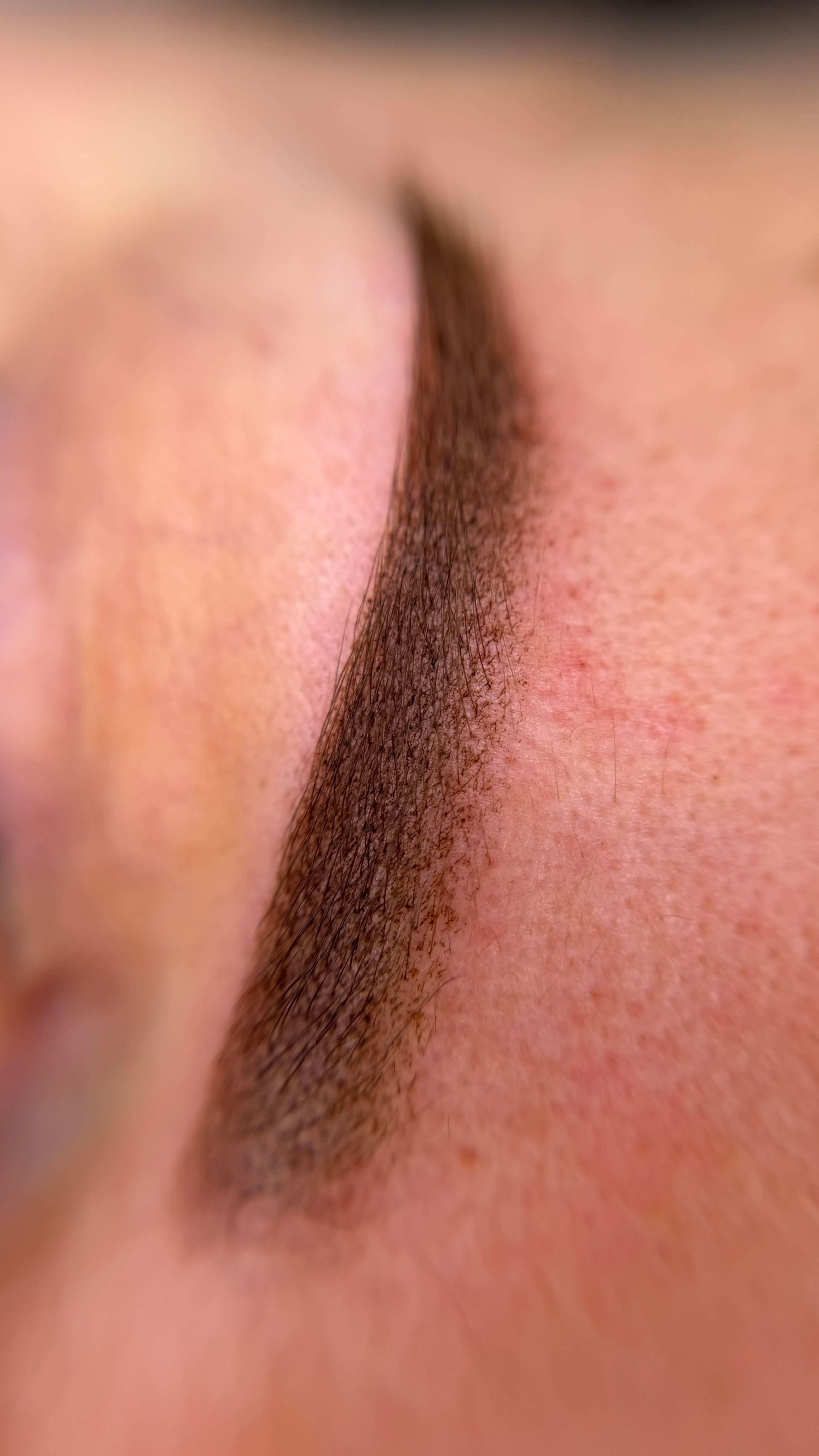 Macro close-up of healed ombre powder brow showing pixelated machine shading texture.