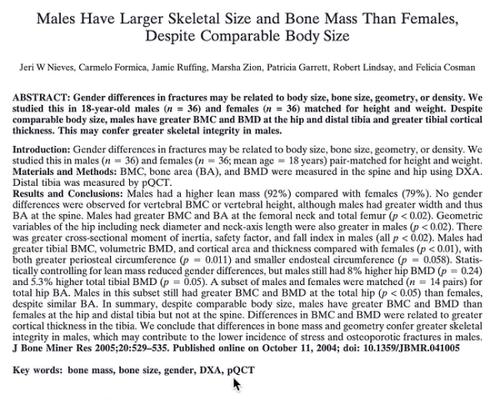 Males have larger skeletal size and bone mass than females, despite comparable body size