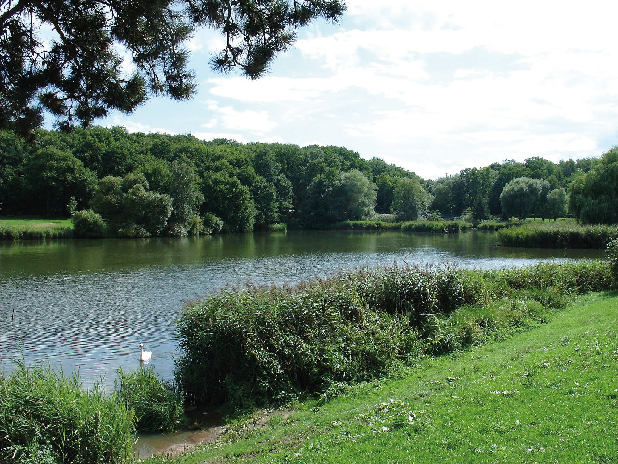  Creutzwald Saint Avold