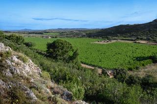 Domaine de la Cadenière