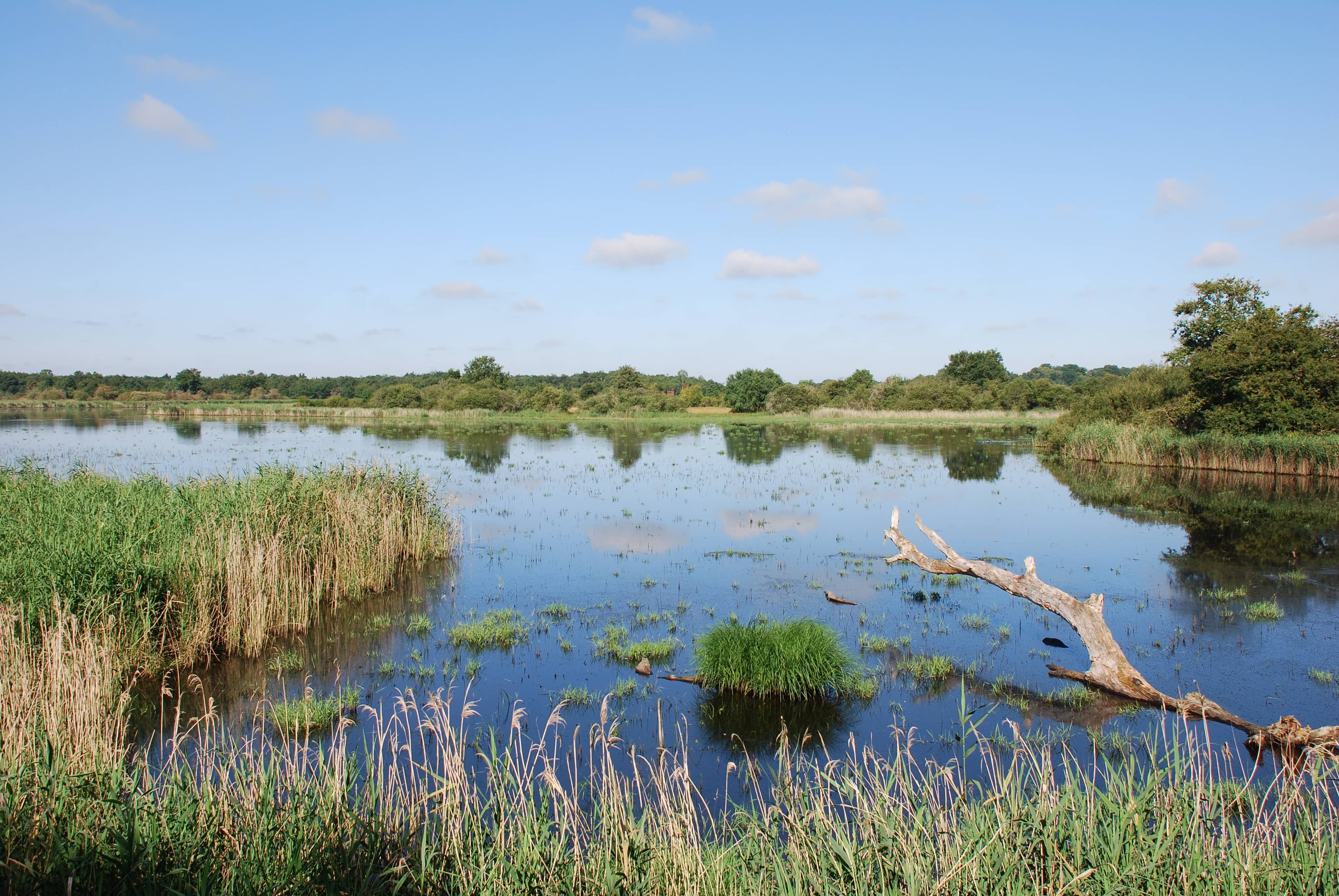 Le parc naturel de la Brenne