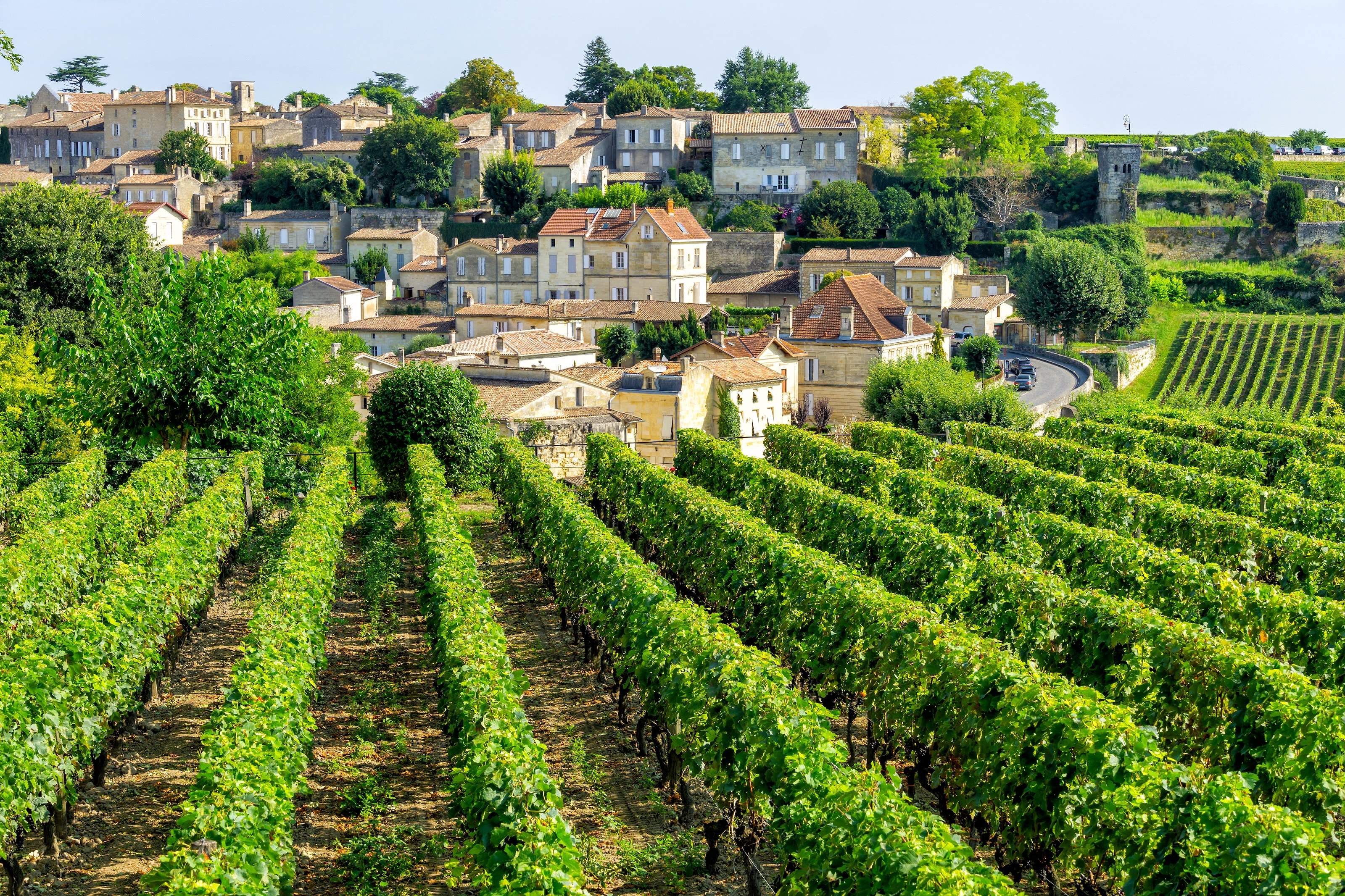 Three-Château Saint-Émilion Wine Tour
