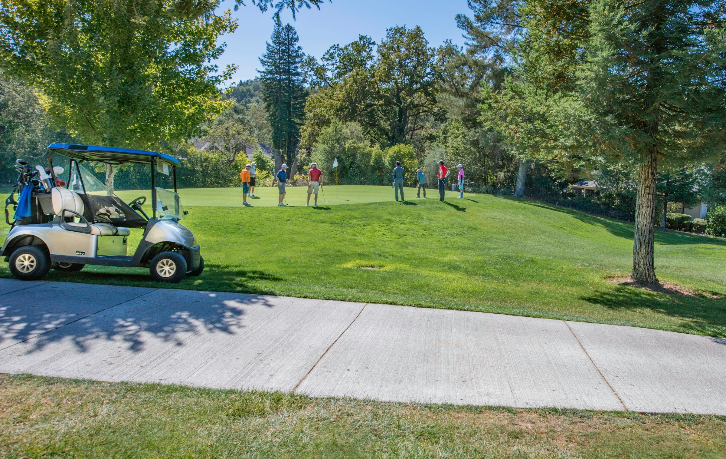 Ryder Cup-style golf scene (people standing on green grass field near green trees during daytime)