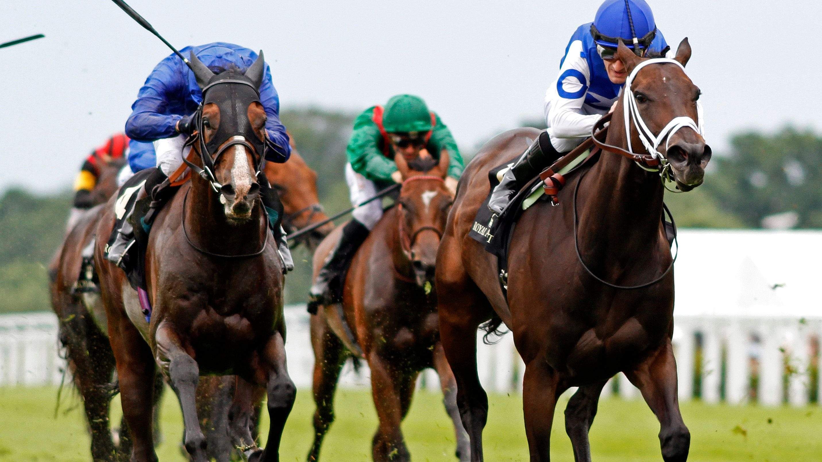 Horses racing at Royal Ascot