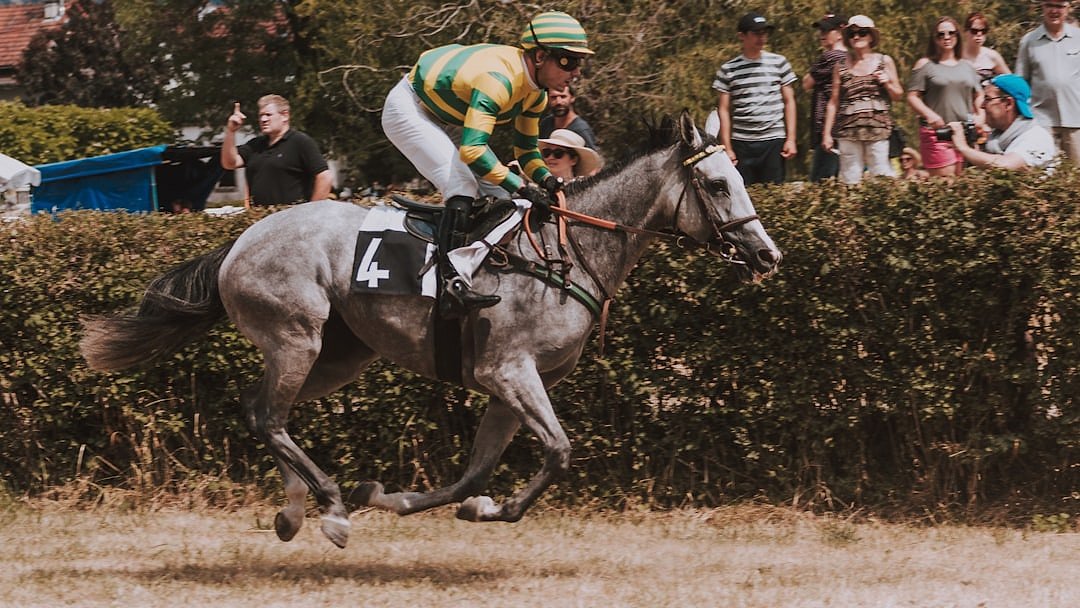 Close-up of a jockey and horse racing at full gallop