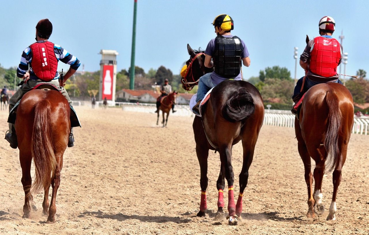 Thoroughbred racehorse and jockey in close-up during a race, capturing the intensity of competition