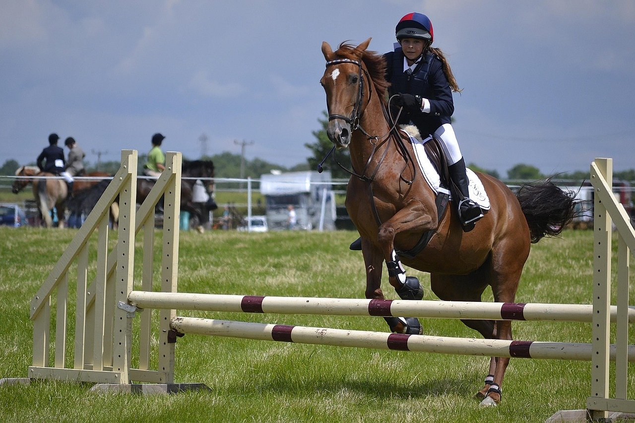 Horse jumping a steeplechase fence during a National Hunt race