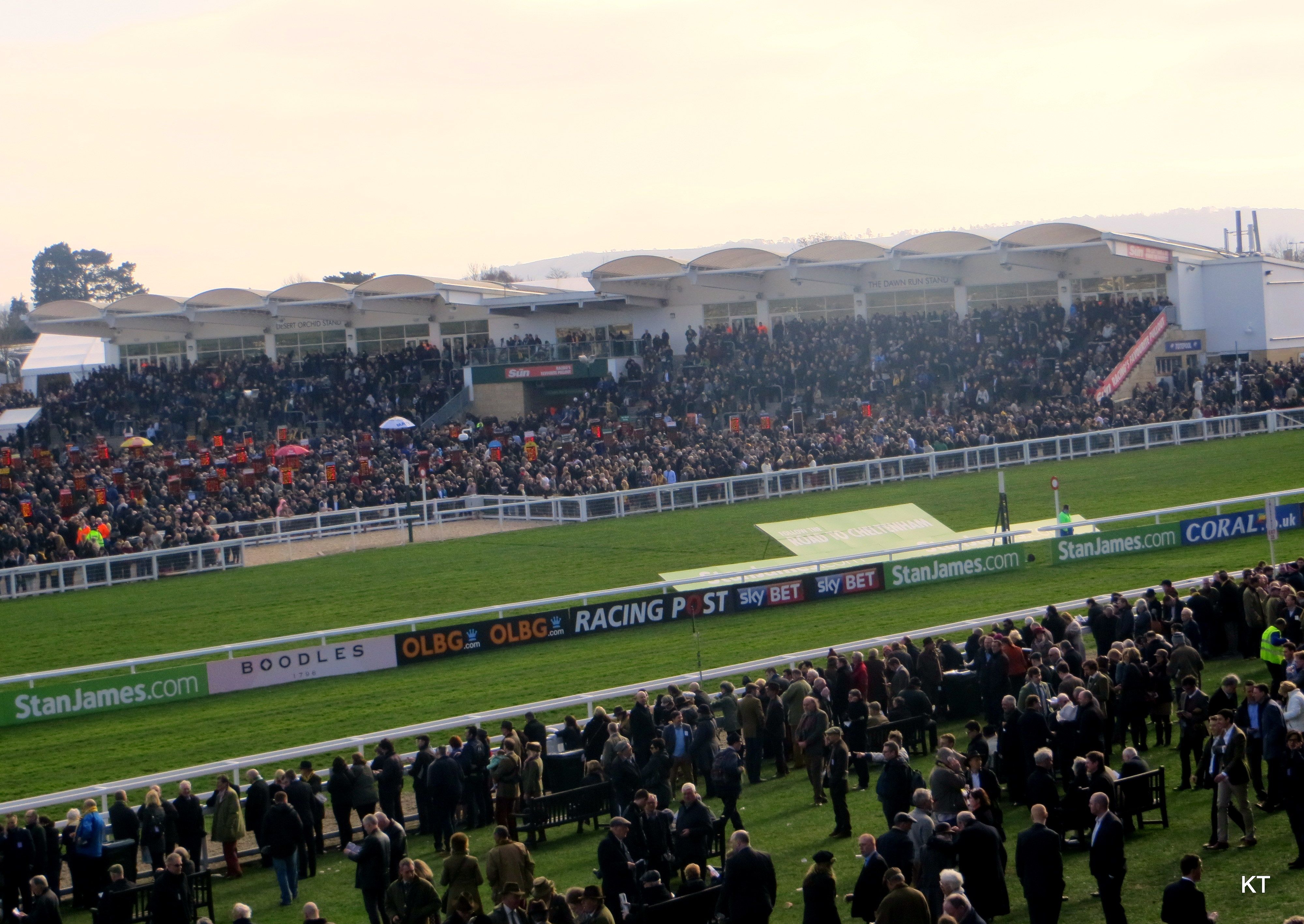 The Cheltenham Racecourse grandstand on a Festival race day