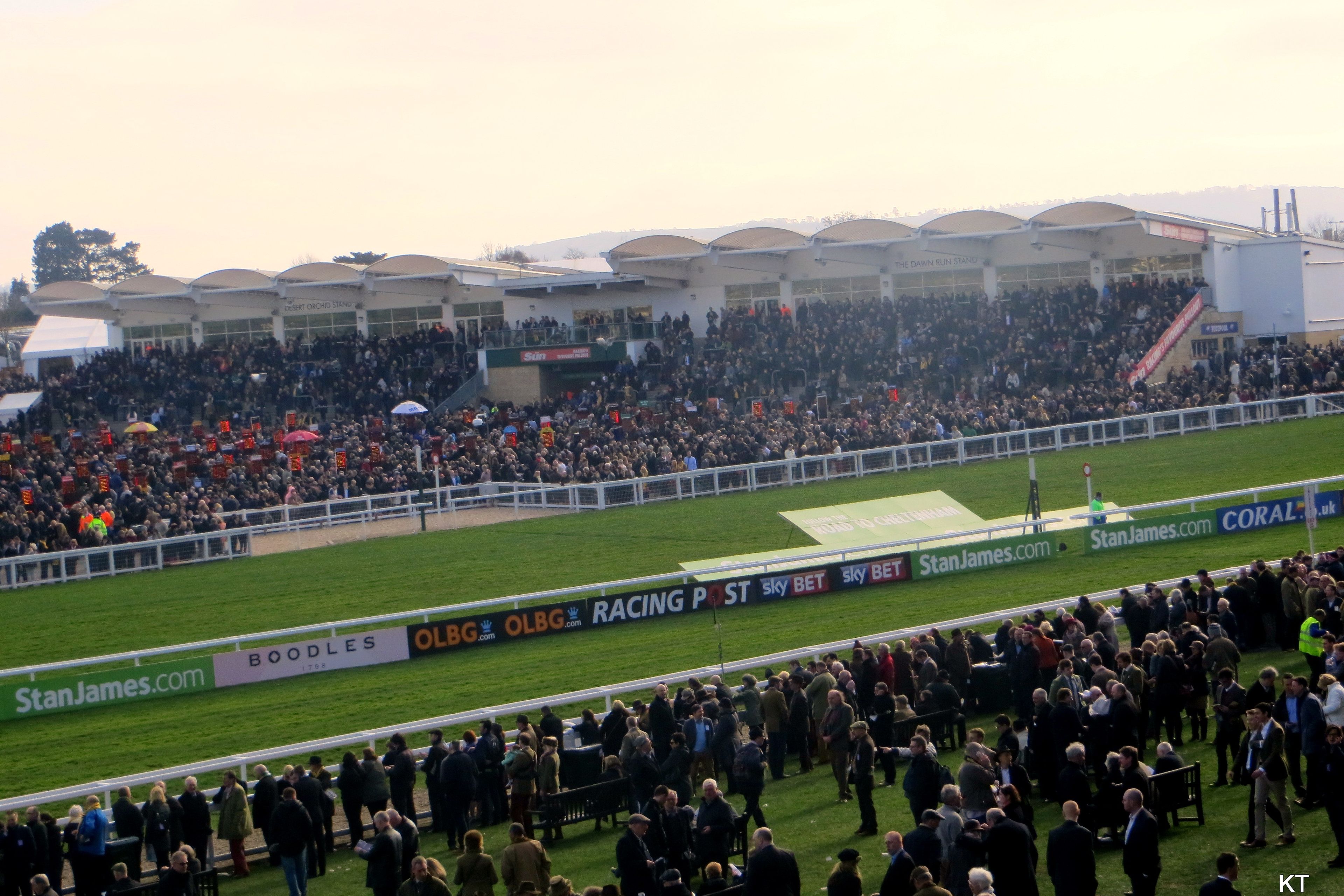 The Cheltenham Racecourse grandstand on a Festival race day