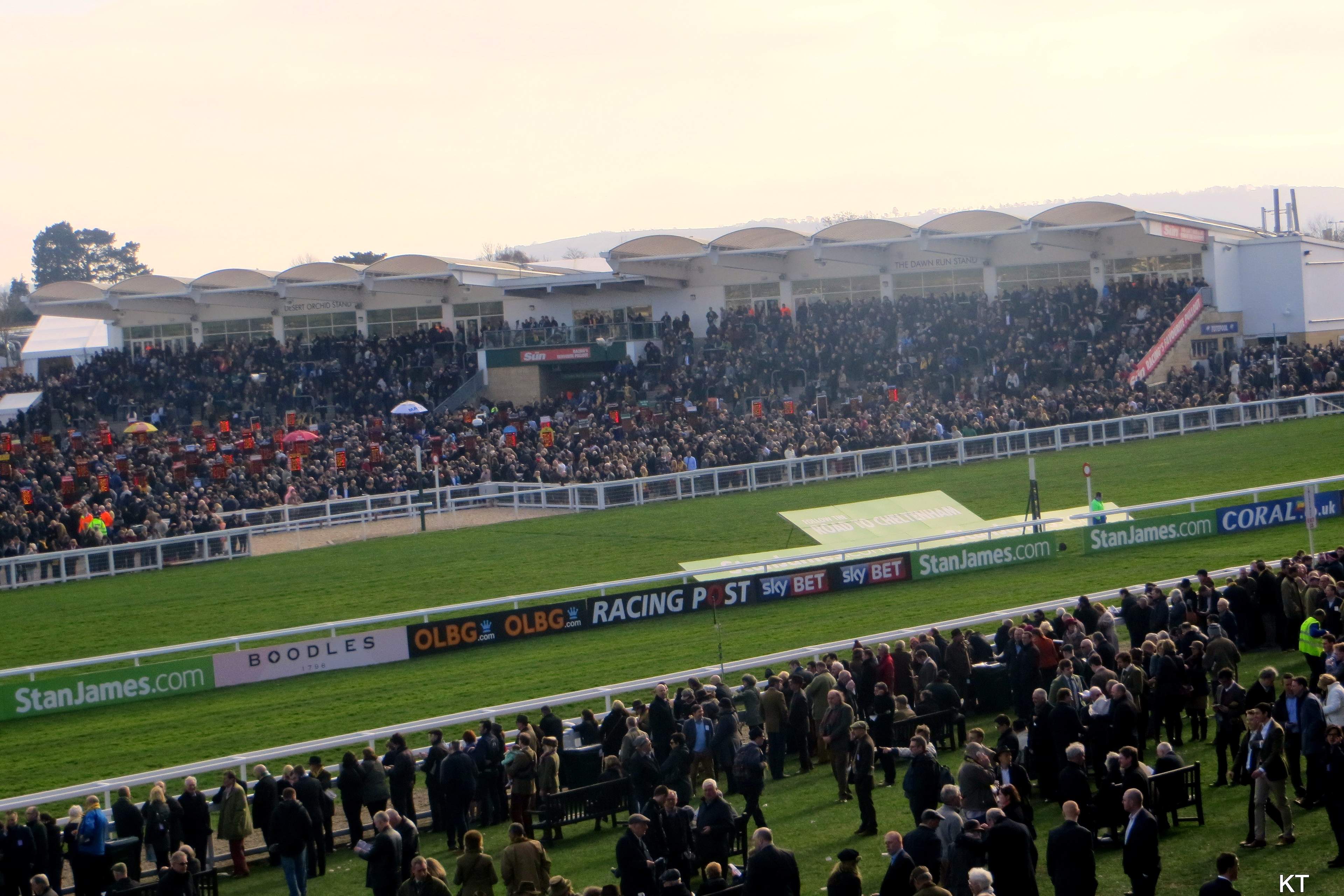 Racegoers on the lawn beside the track at Cheltenham Racecourse, with a full grandstand on the far side