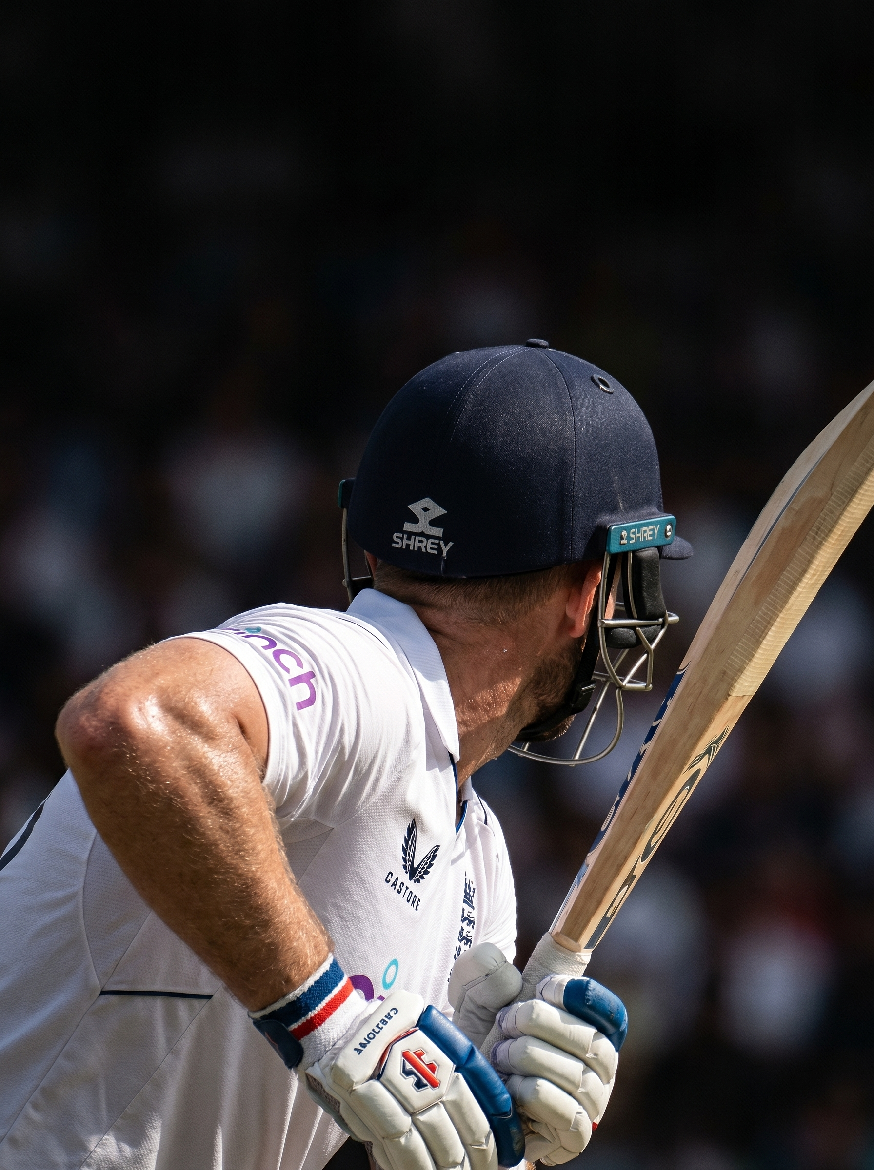 Cricket batsman