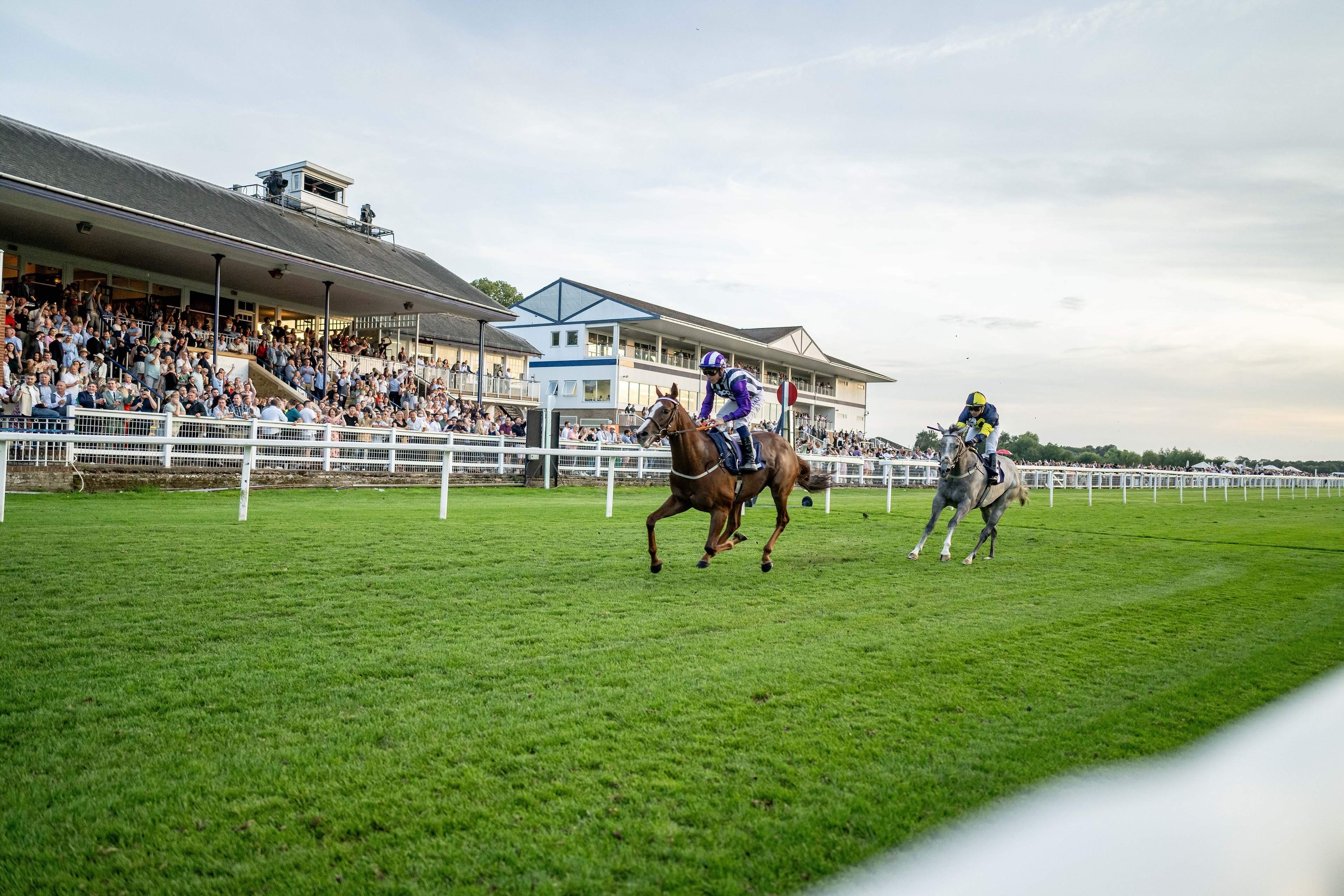Royal Windsor Races