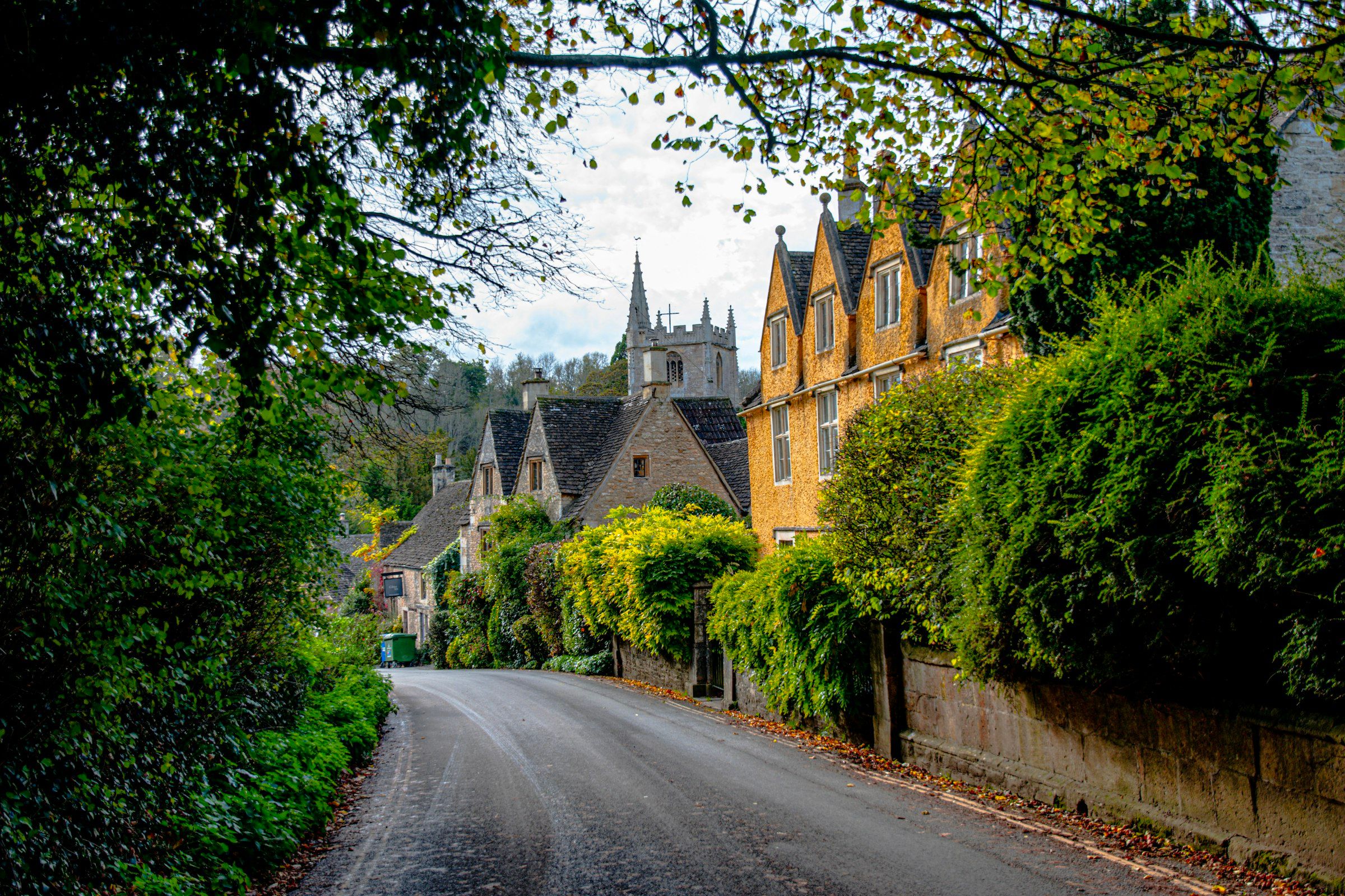 Cheltenham and the Cotswolds (a street lined with trees and houses next to a forest)