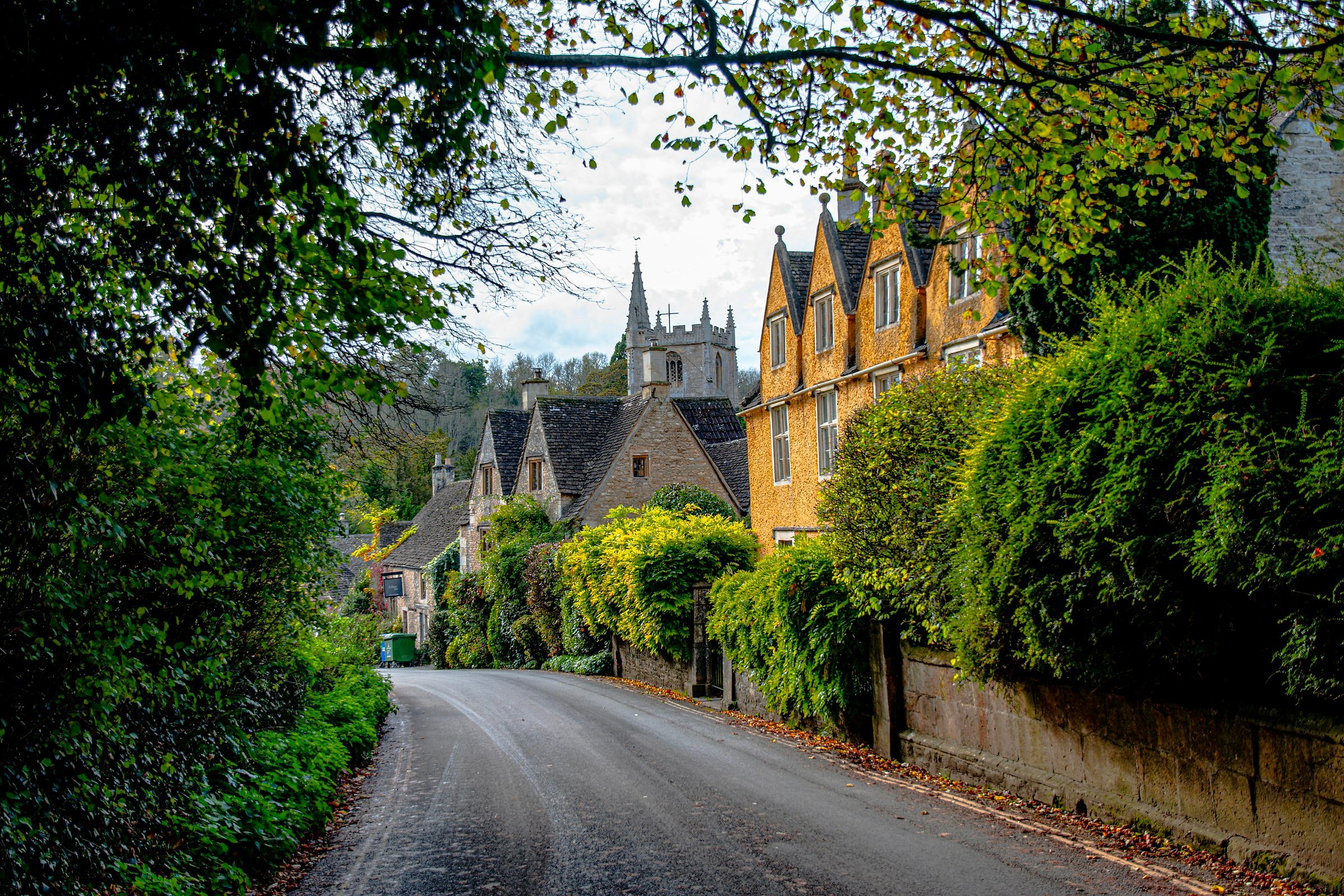 Cheltenham and the Cotswolds (a street lined with trees and houses next to a forest)