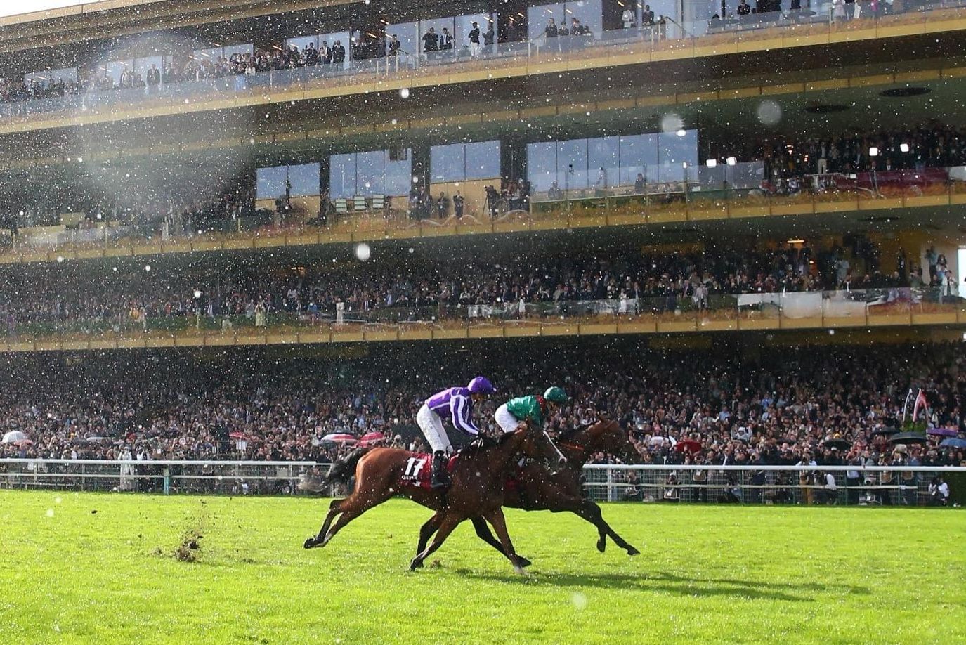 Horse racing on a French turf racecourse