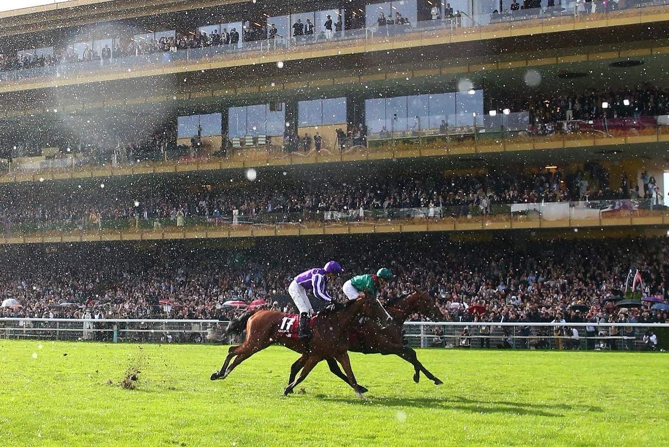 Horse racing on a French turf racecourse