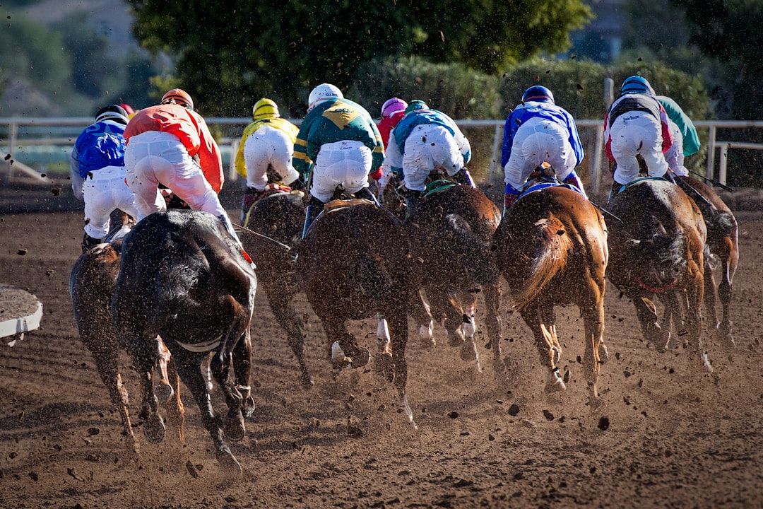 Racehorses and jockeys on a turf racecourse