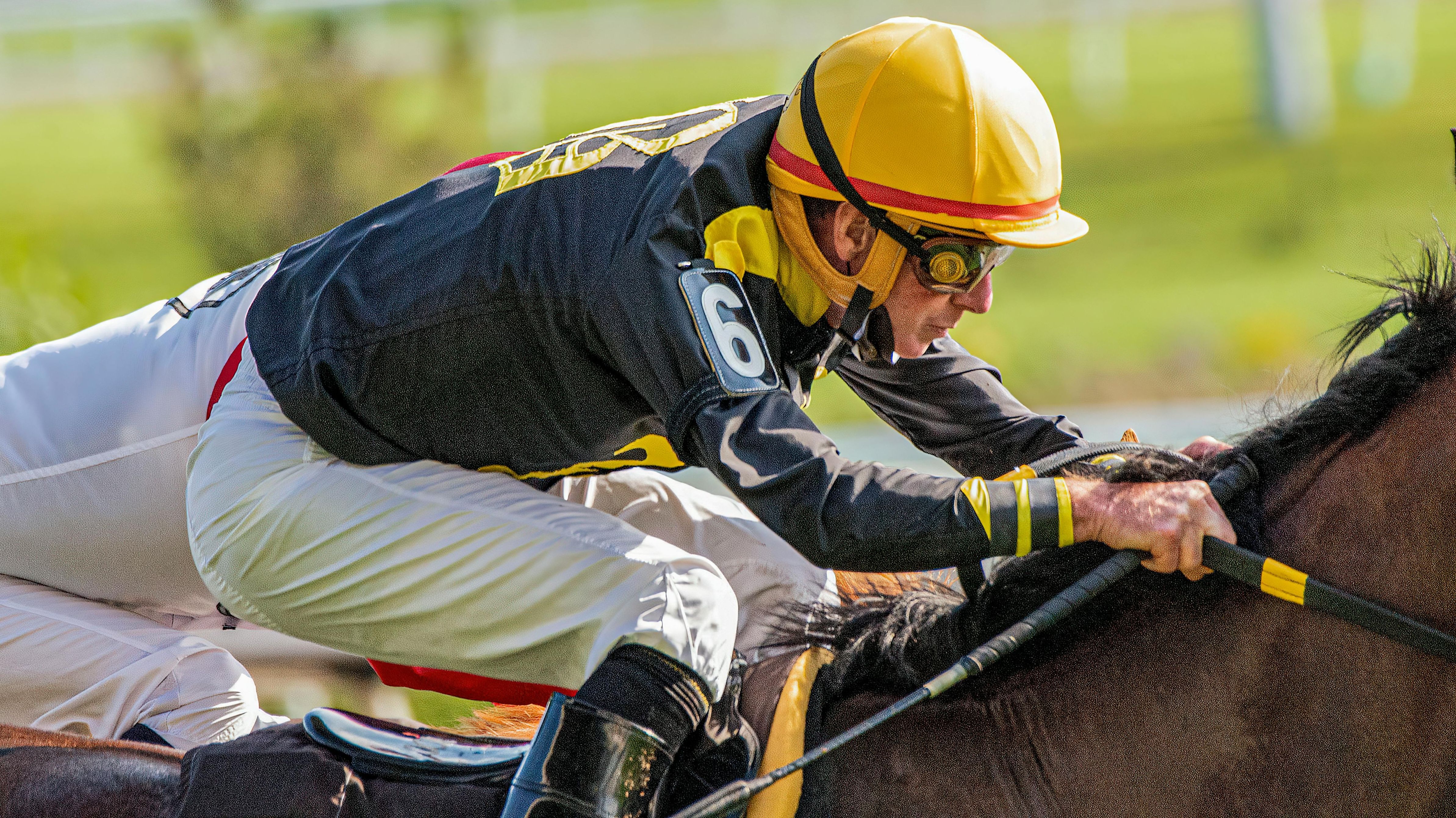 Royal Windsor Races