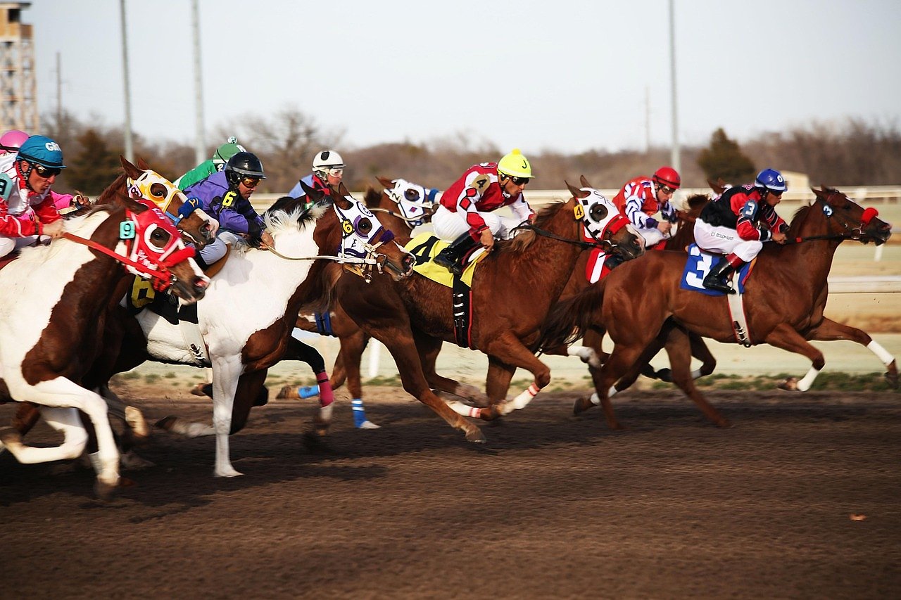 Thoroughbred racehorses competing closely on a turf racecourse