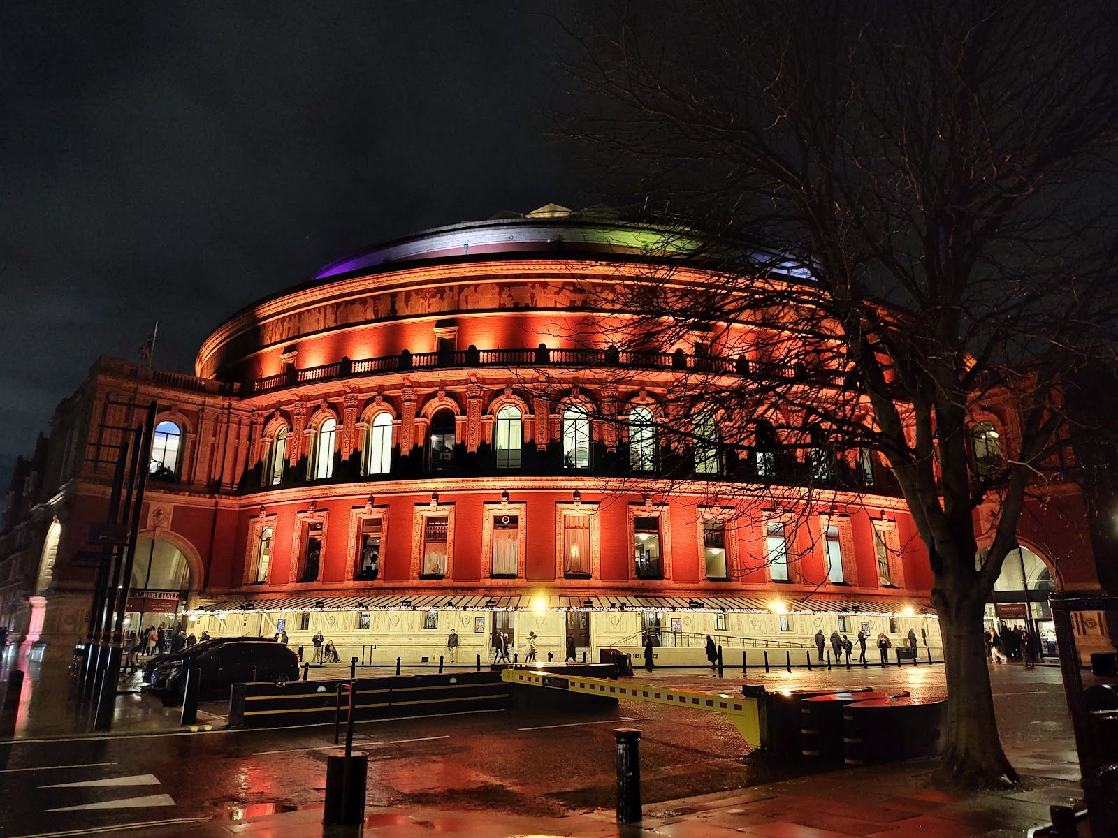 The Royal Albert Hall lit red and gold at night, framed by the bare branches of a tree