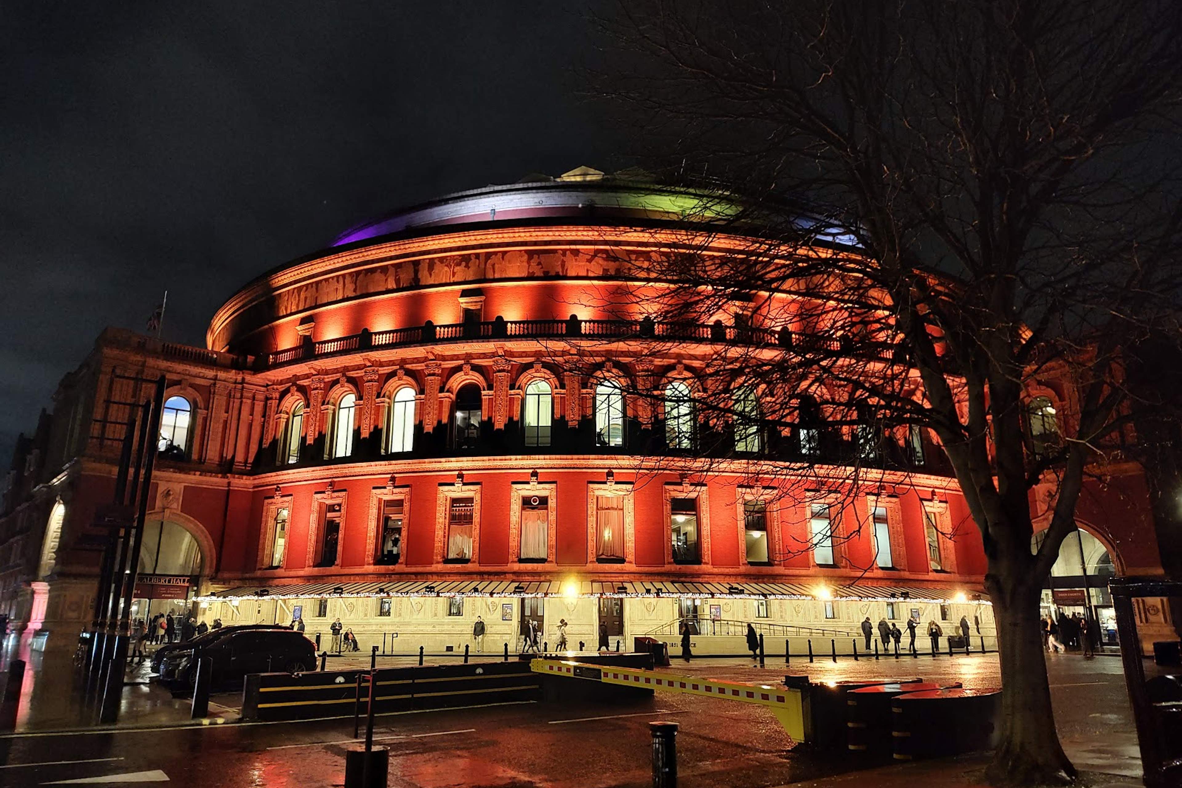 The Royal Albert Hall lit red and gold at night, framed by the bare branches of a tree