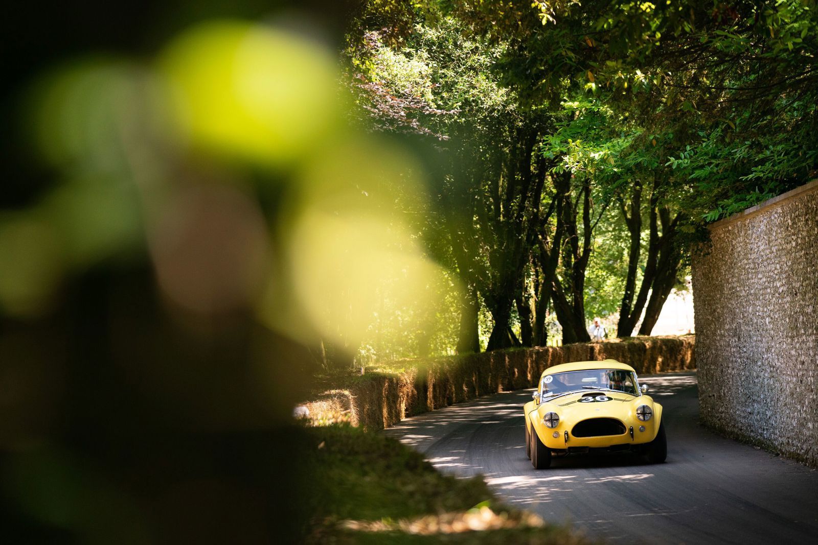 A classic sports car climbing the tree-lined Goodwood Festival of Speed hillclimb
