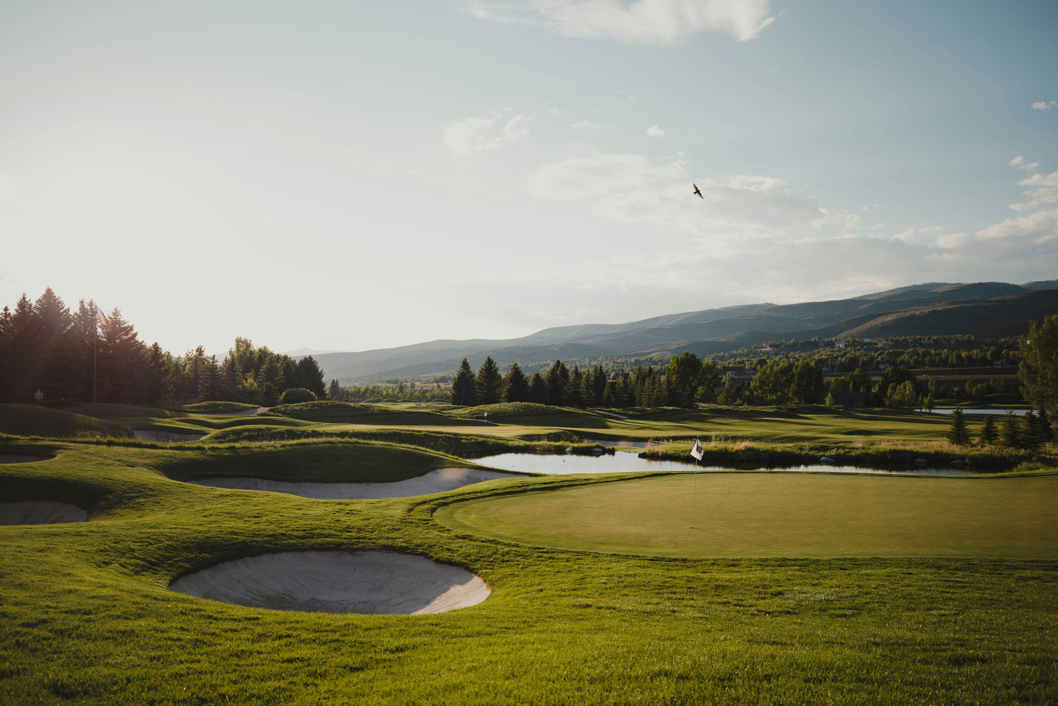 Manicured fairway lined with trees
