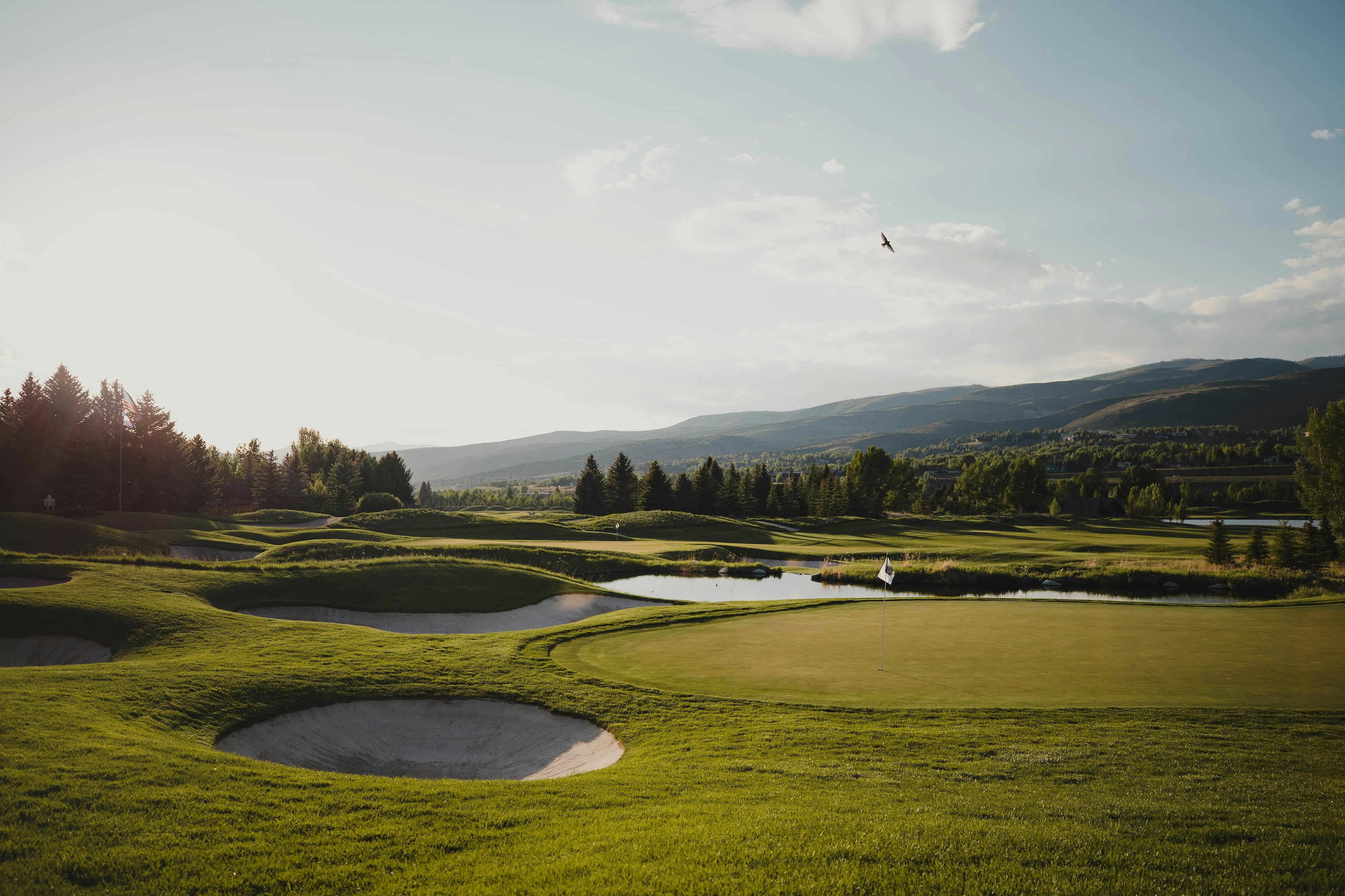 Manicured fairway lined with trees