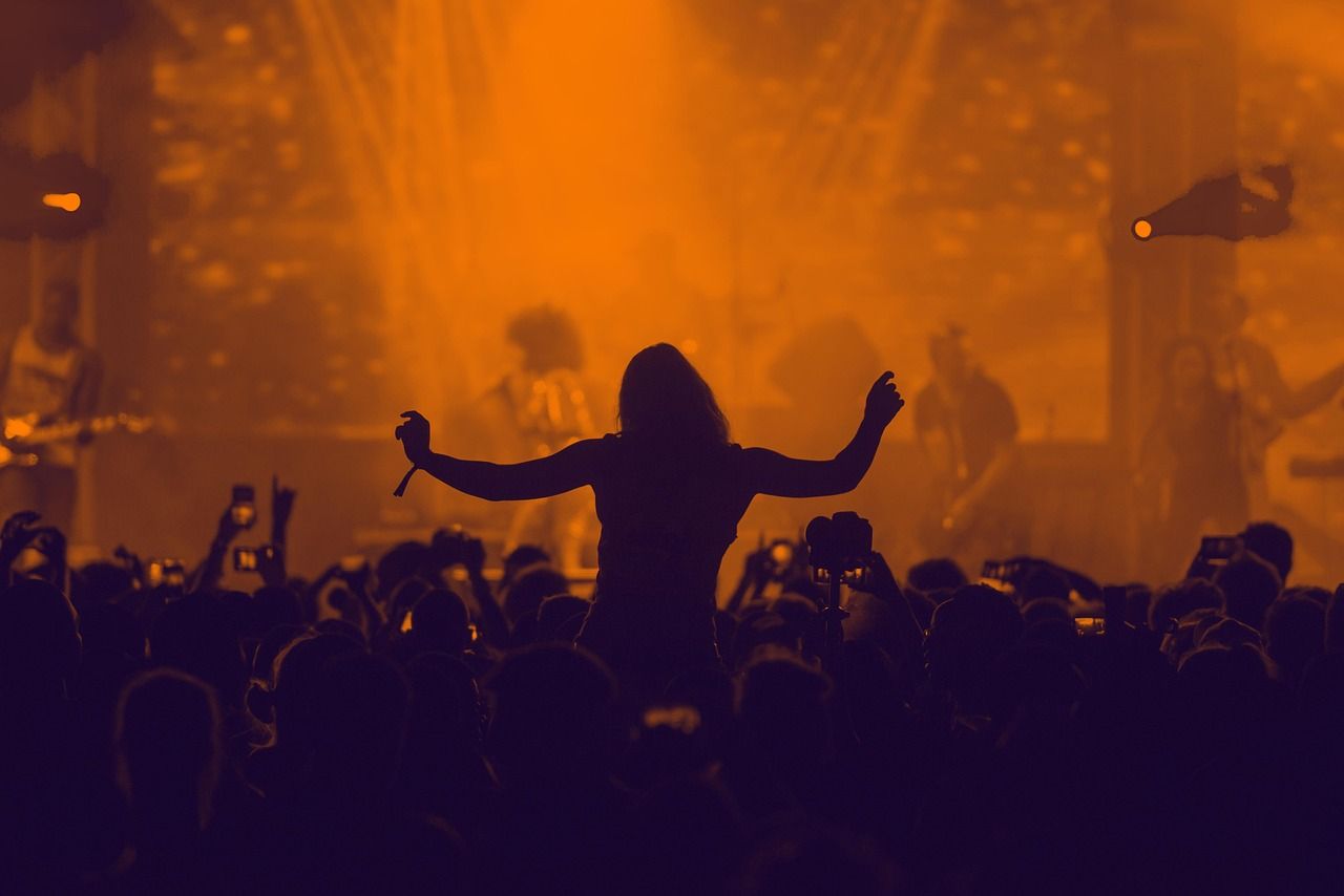 Silhouetted concert crowd at a large-scale pop performance