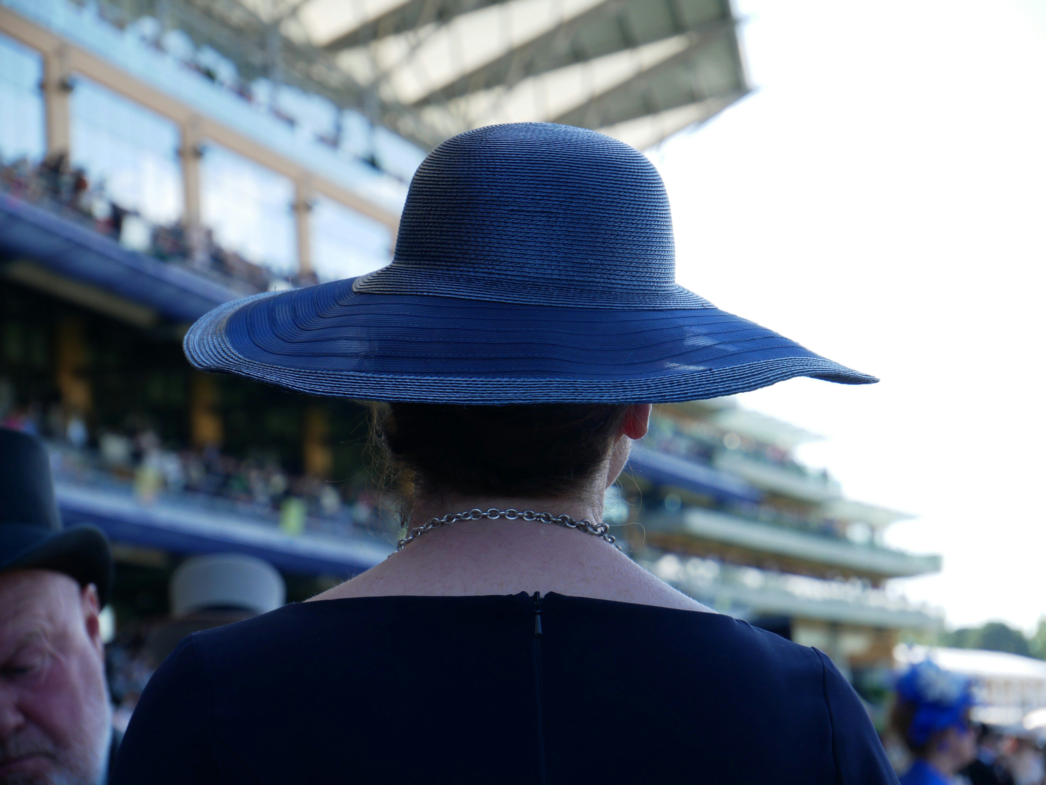 A lady wearing a blue hat at Royal Ascot Ladies Day