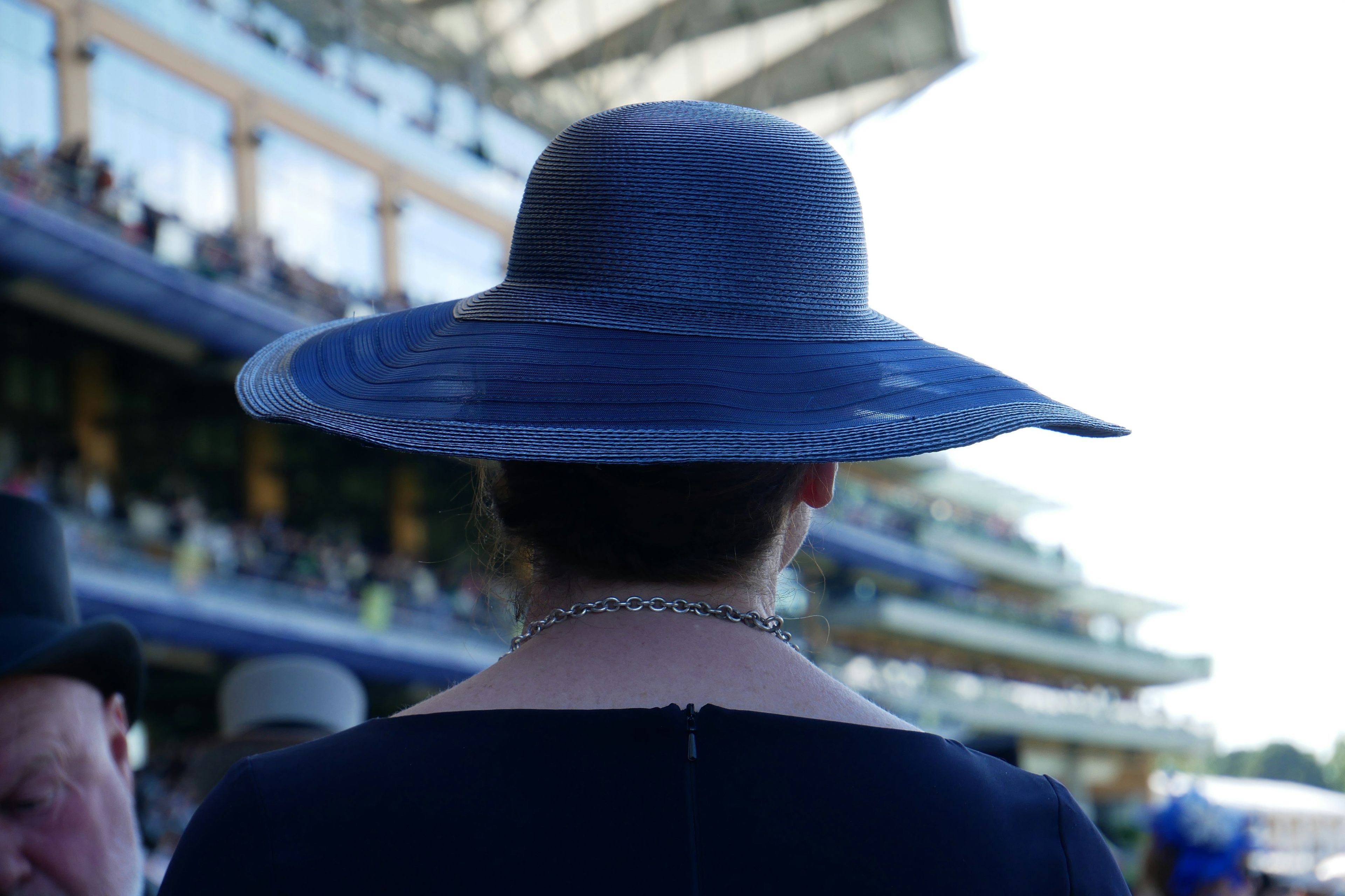 A lady wearing a blue hat at Royal Ascot Ladies Day