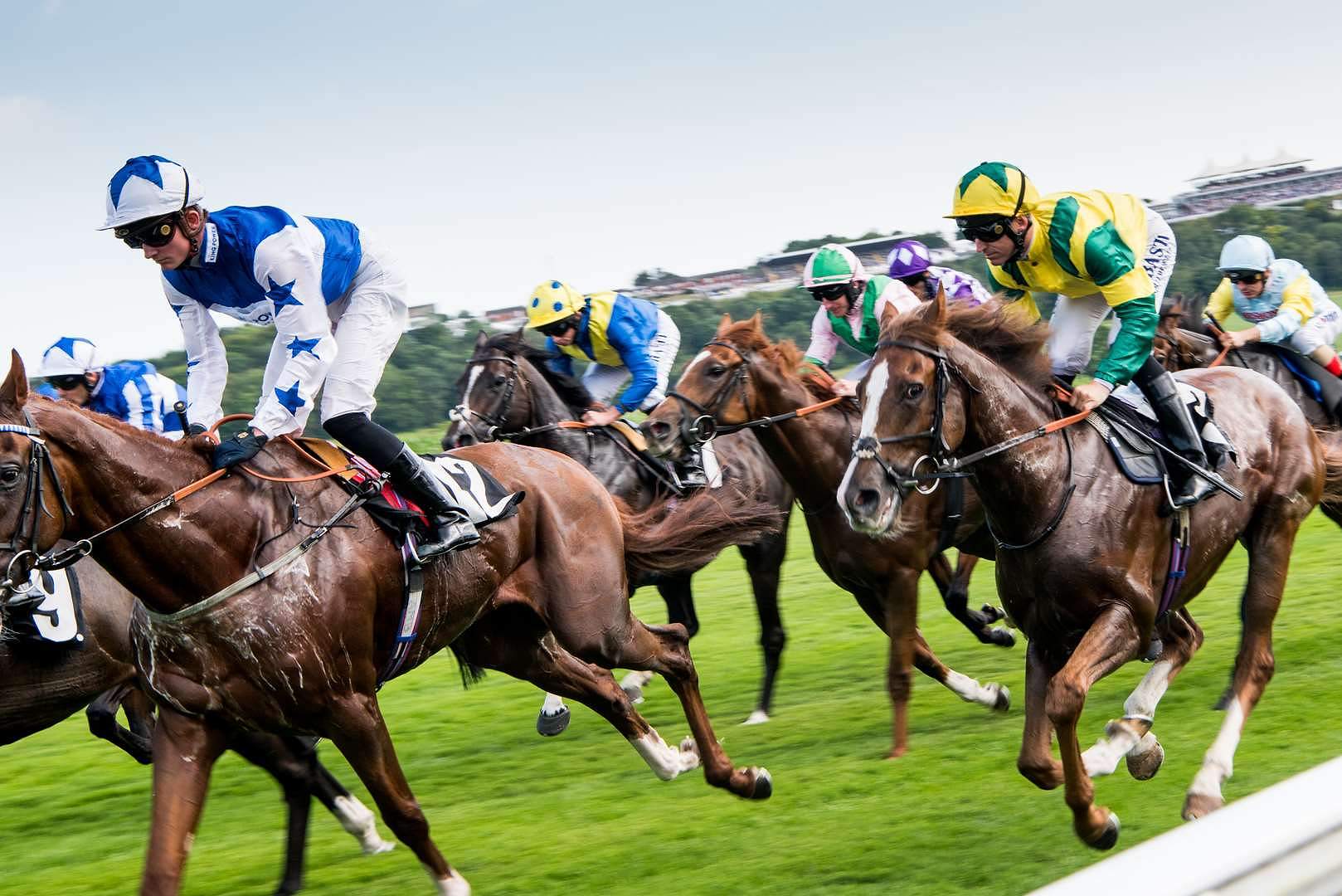 Close-up of a jockey riding a racehorse at full speed