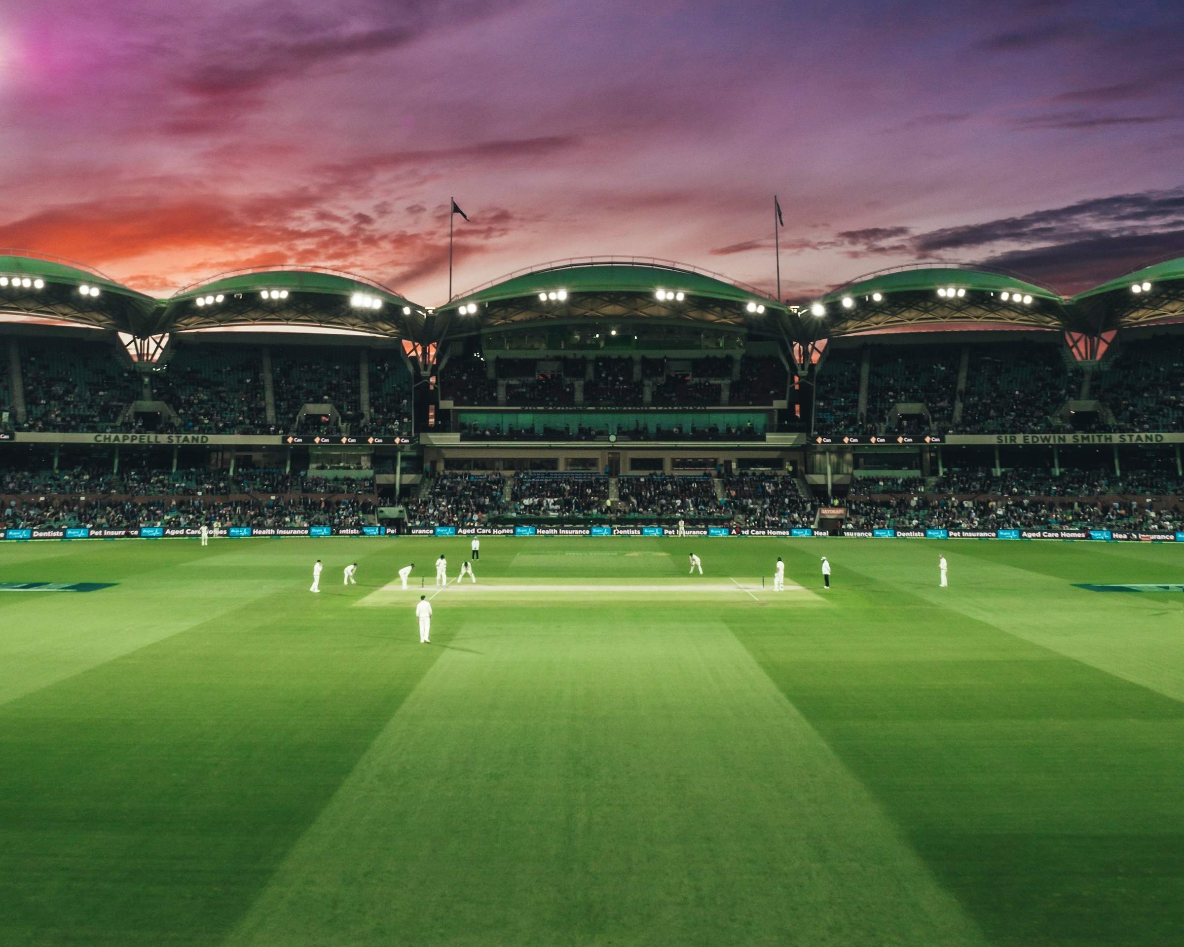 Cricket match in progress on a sun-lit ground