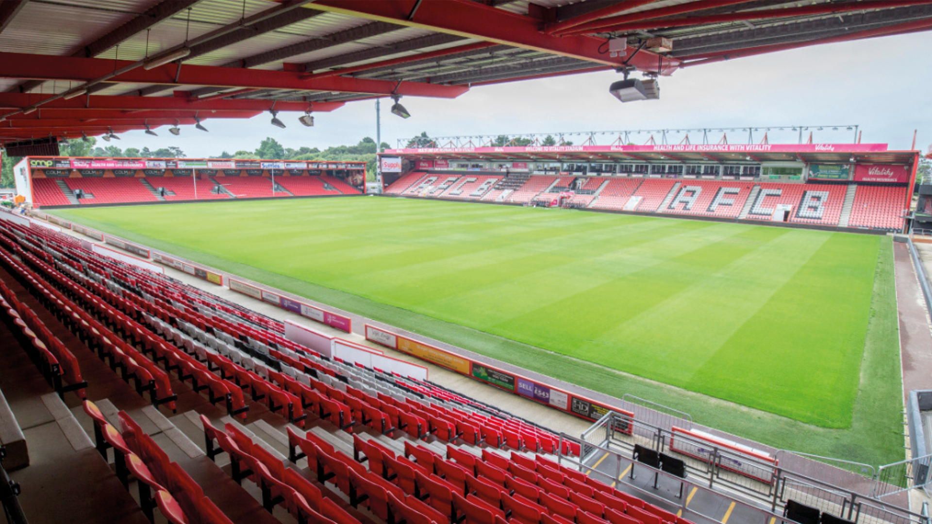 AFC Bournemouth players during a match at the Vitality Stadium