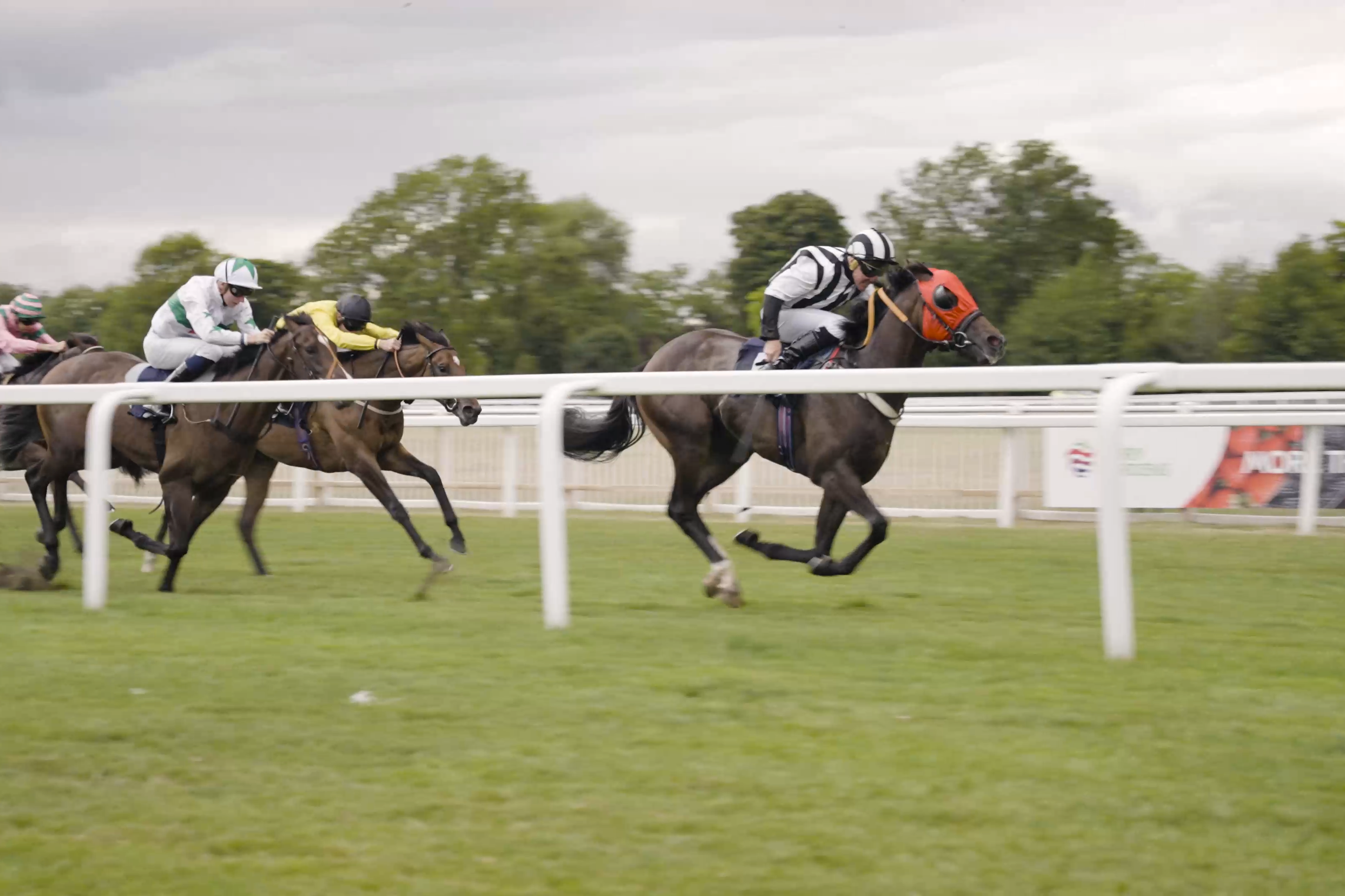 Royal Windsor Races