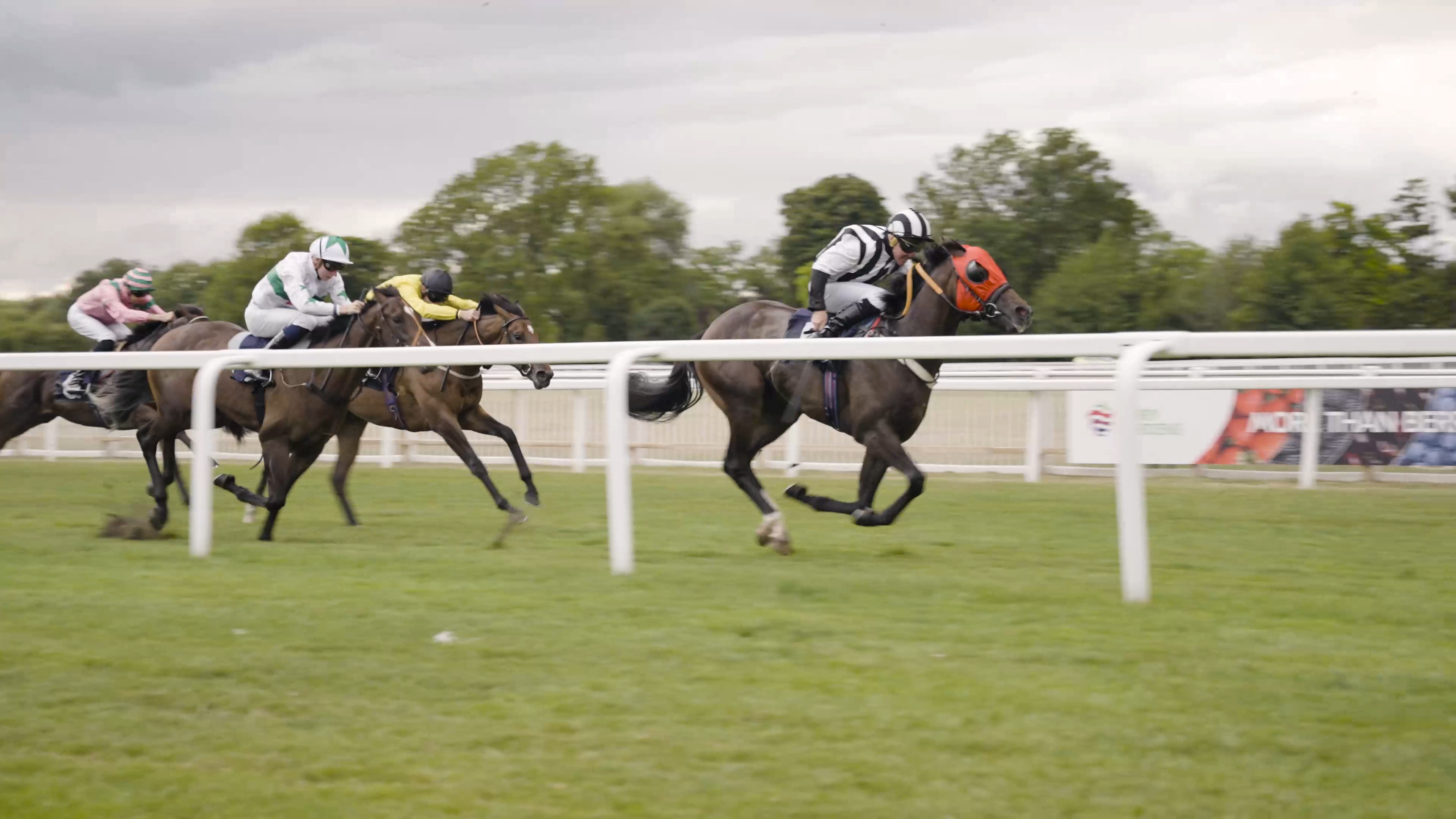 Royal Windsor Races