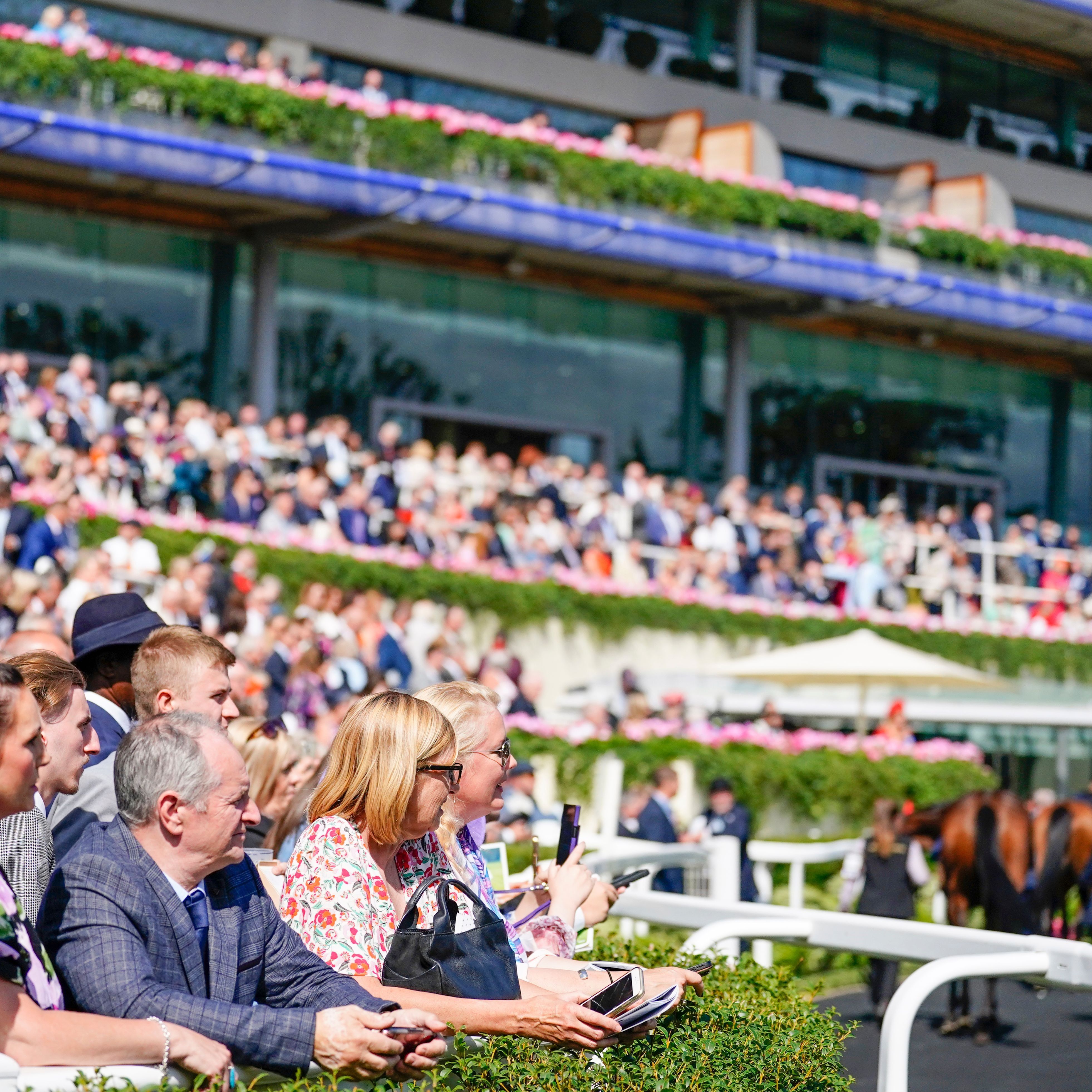 Ascot crowd