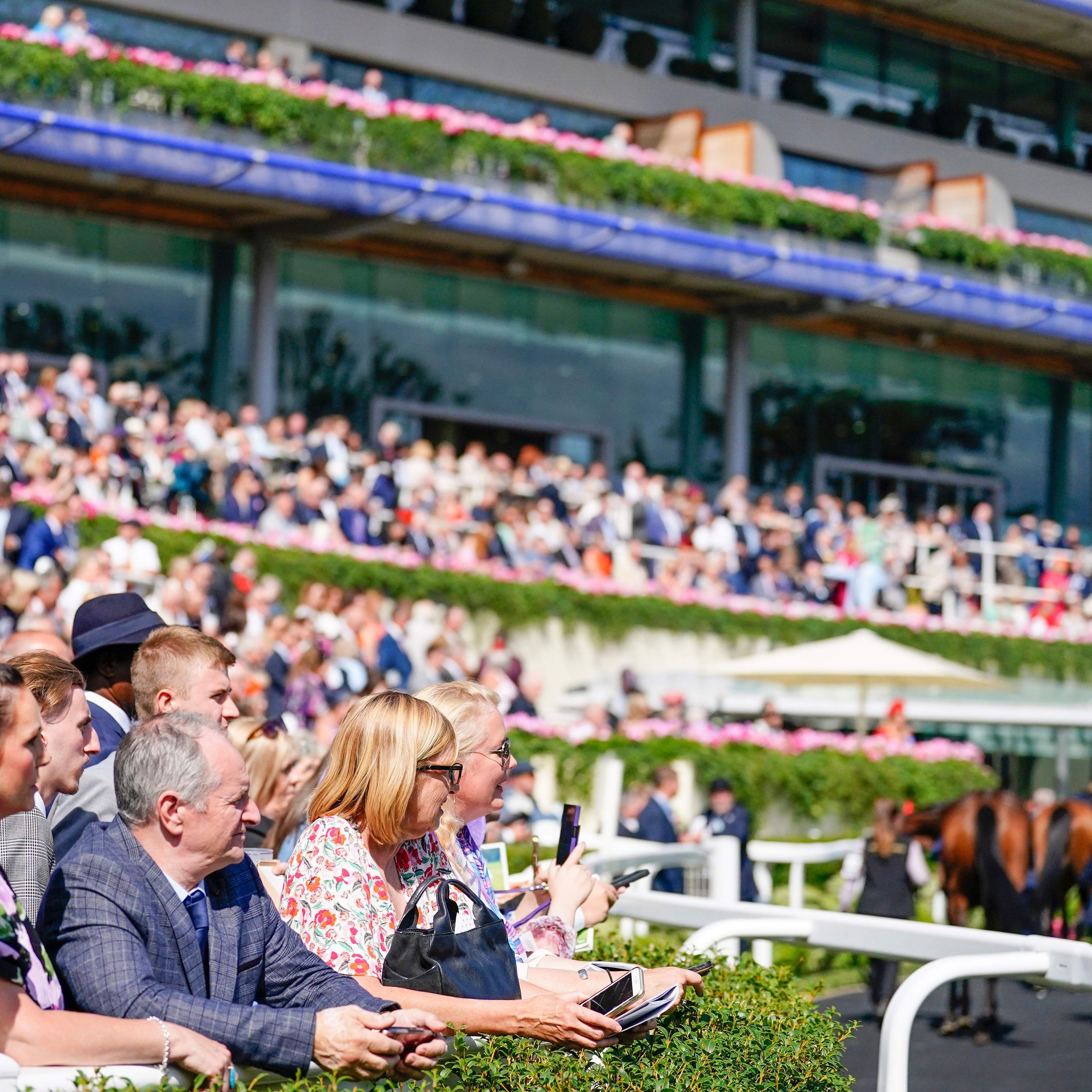 Ascot crowd
