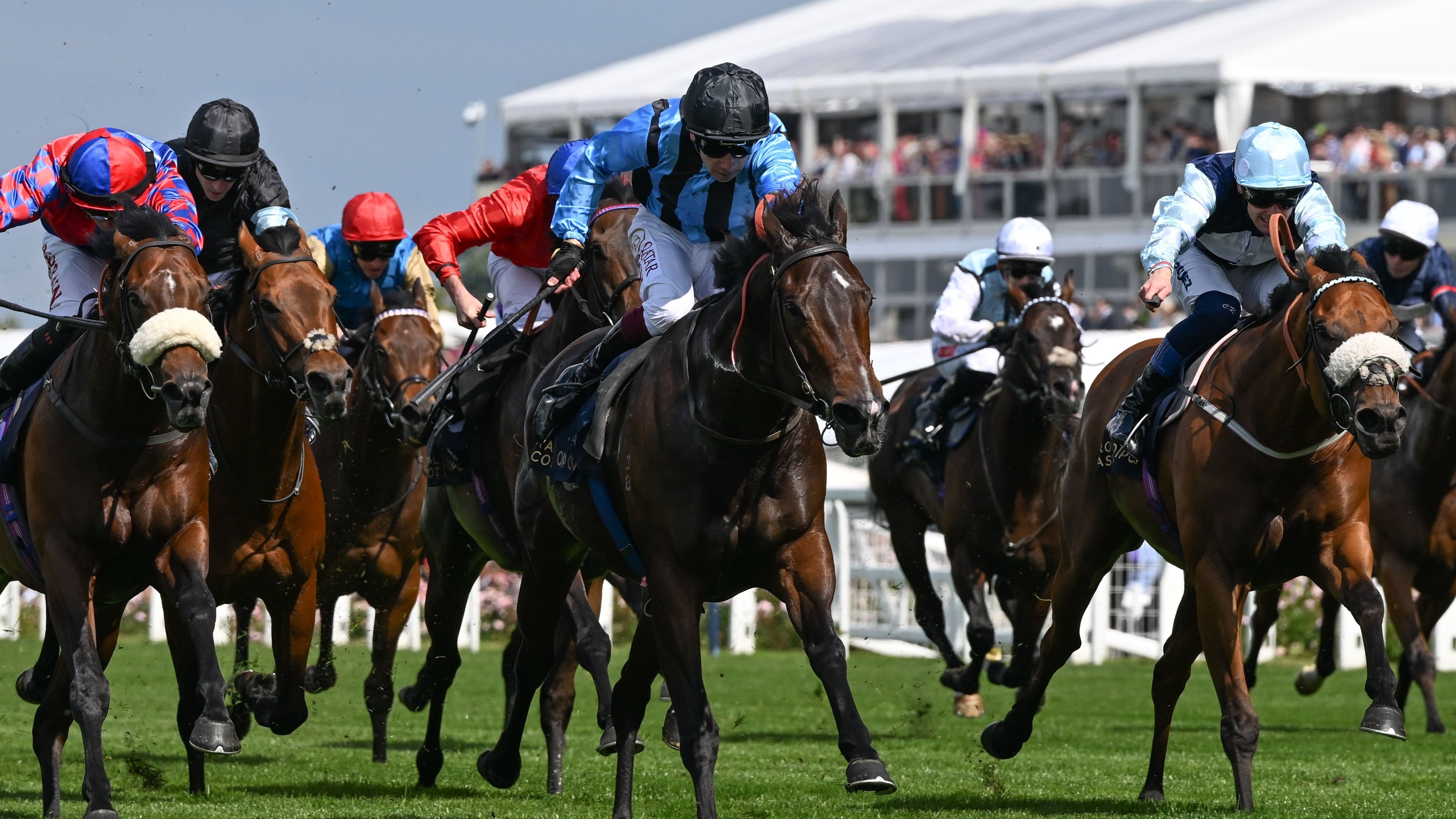 Frankel winning at Doncaster in September 2010, one of his fourteen unbeaten races
