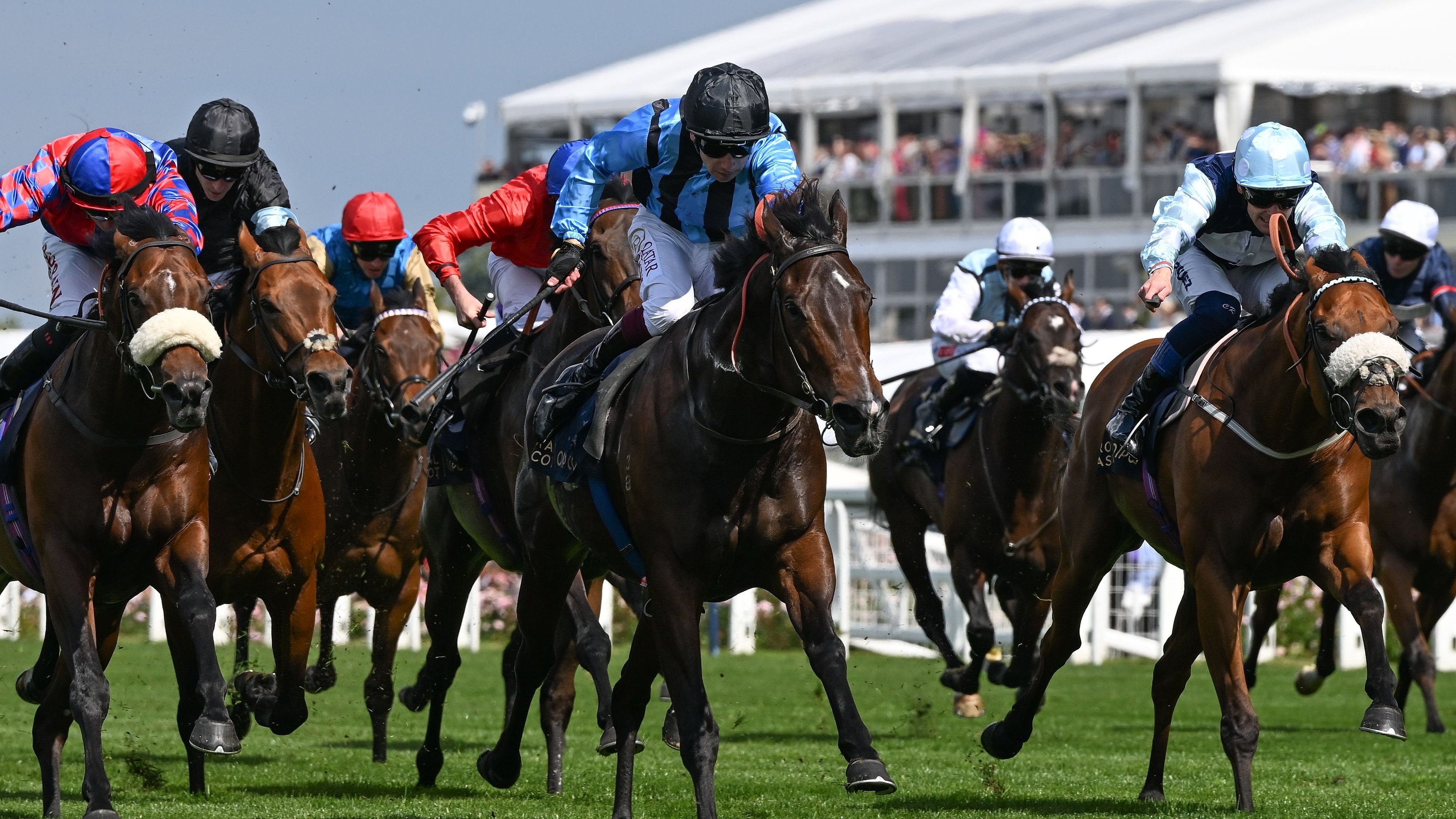 Frankel winning at Doncaster in September 2010, one of his fourteen unbeaten races