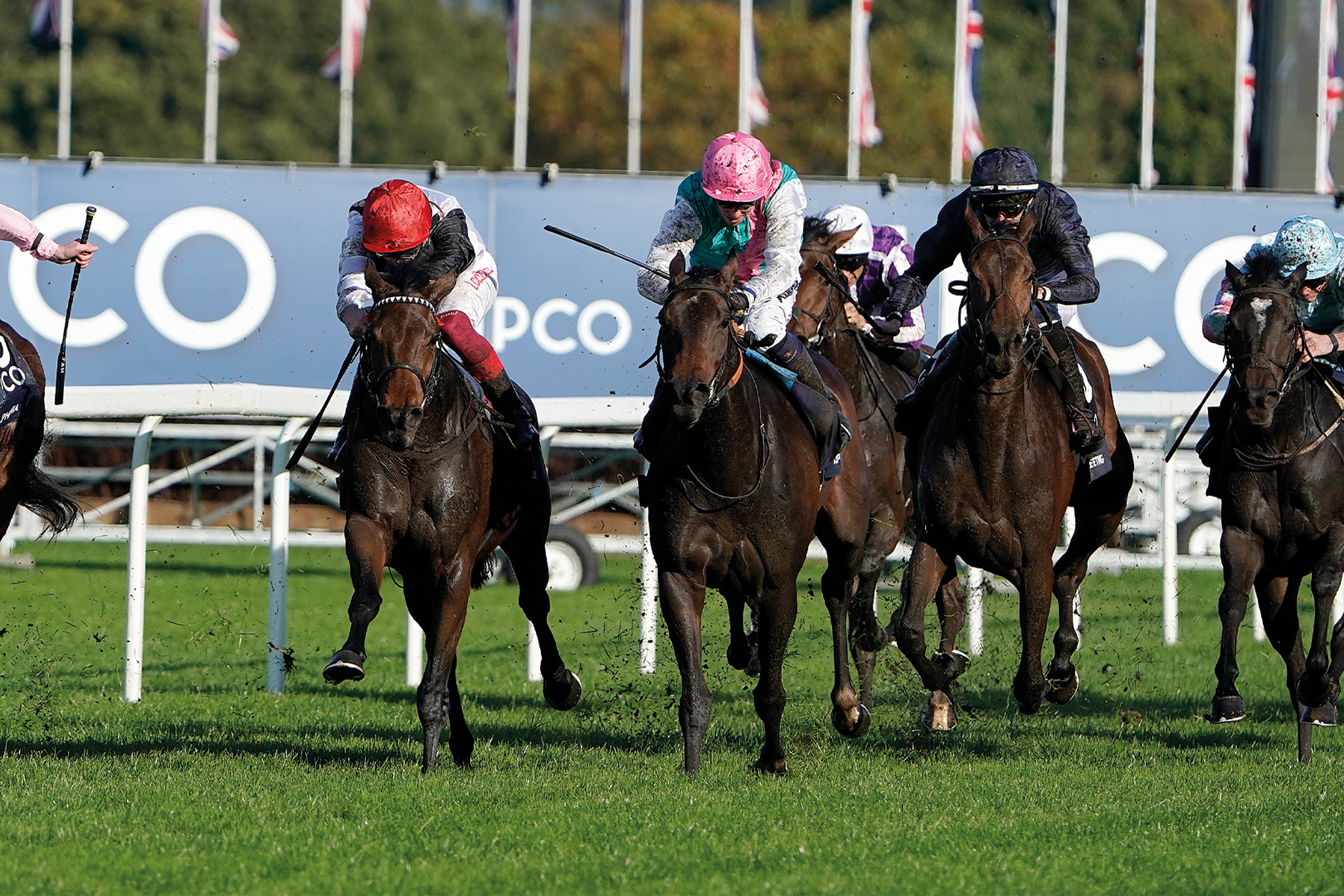 King George Racing Weekend at Ascot
