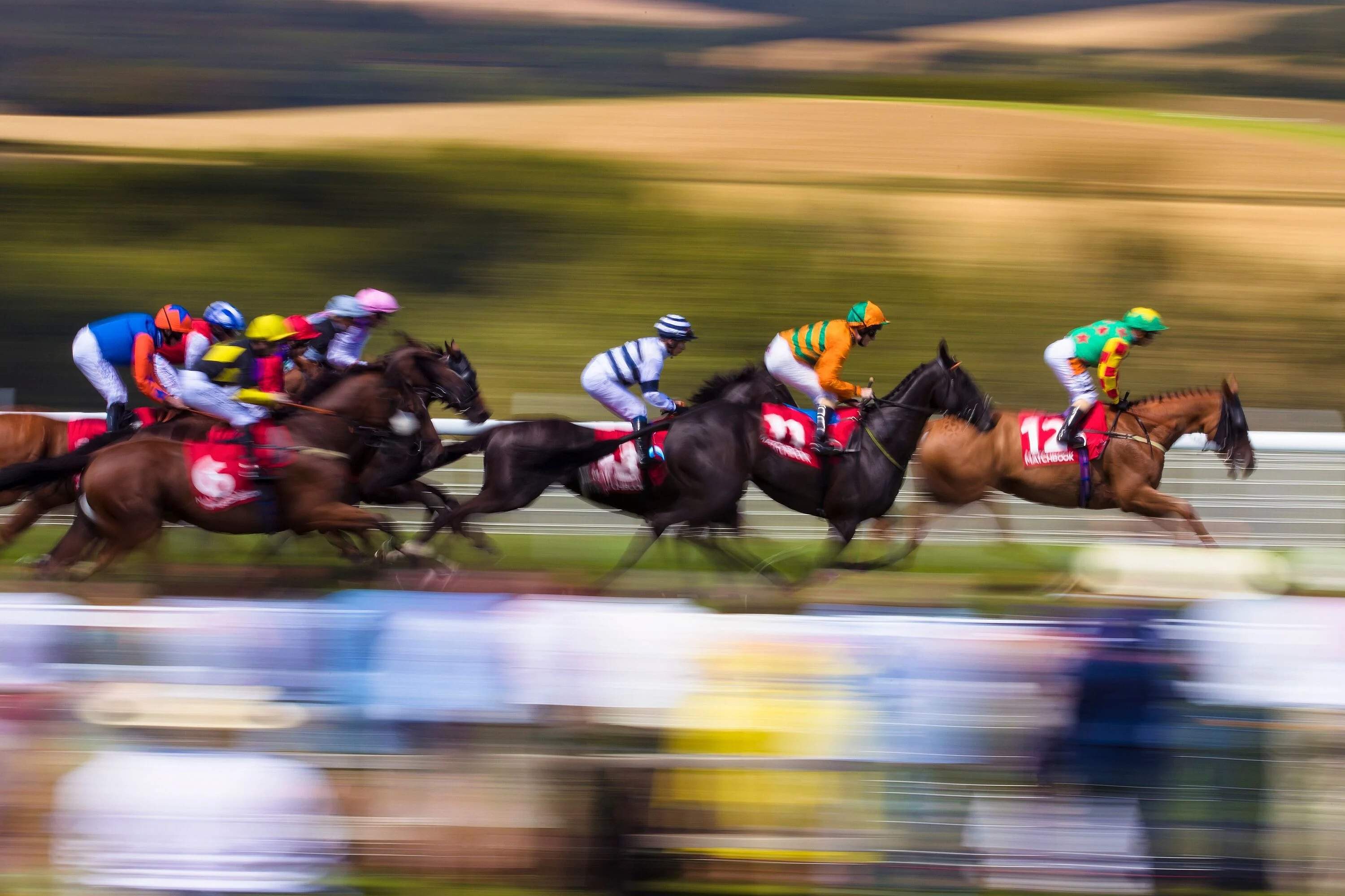 Horses racing