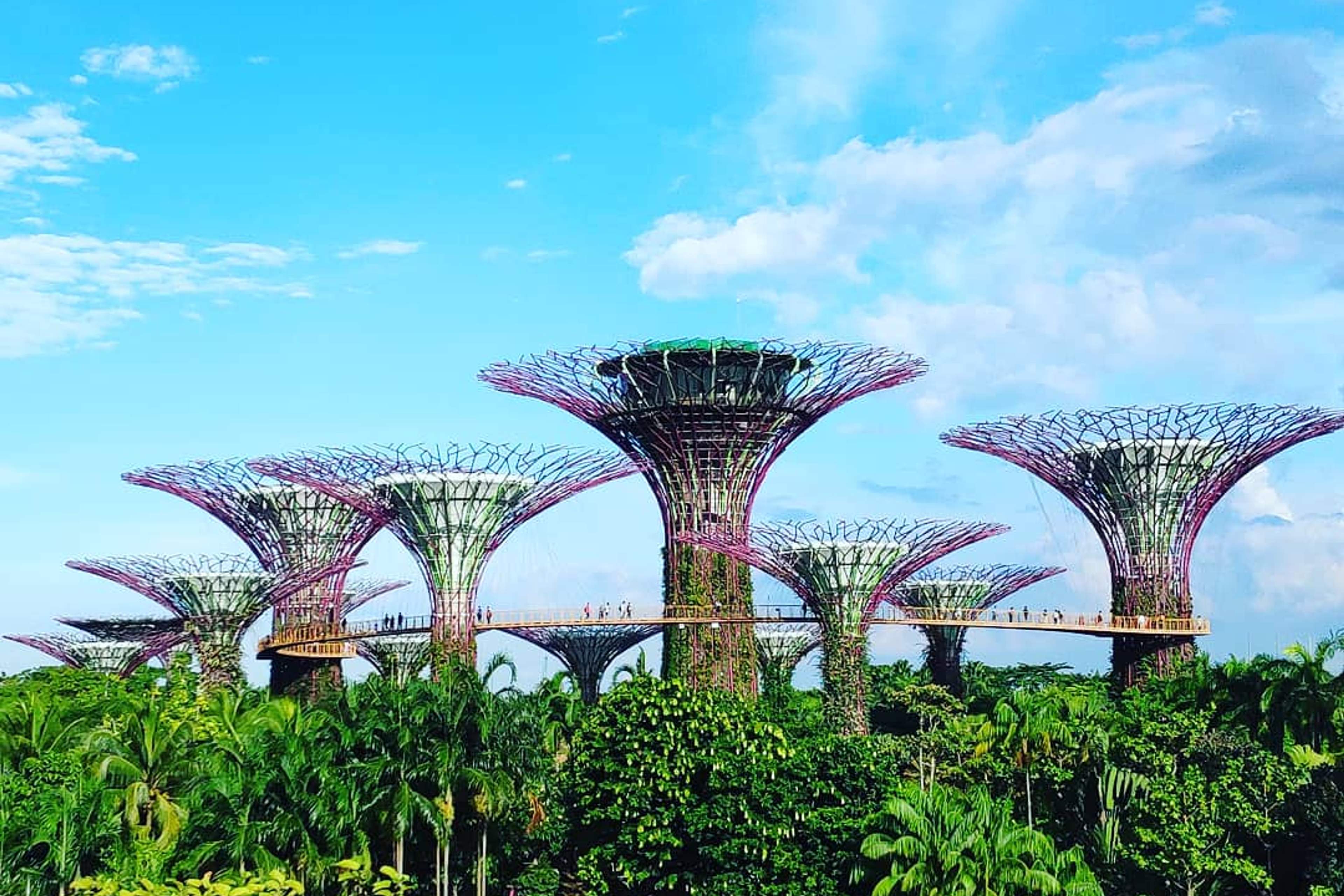 Singapore the city, in race week